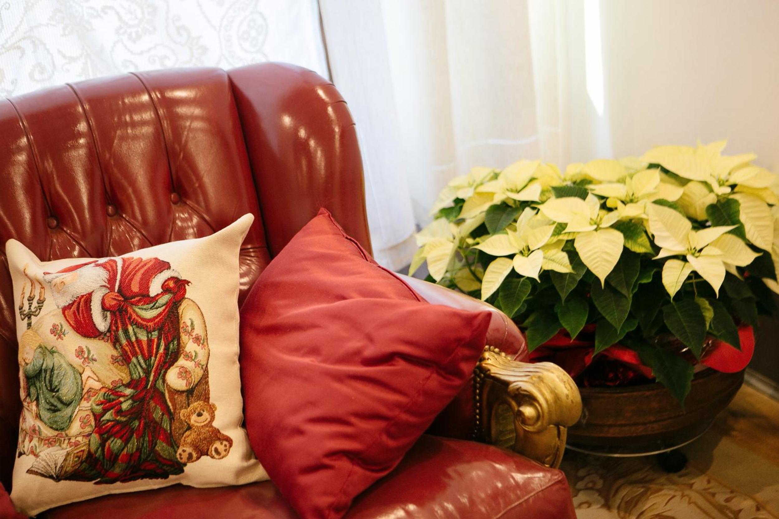 Domus Socolatae Residenza d'Epoca Charming B&B - Adults Only
