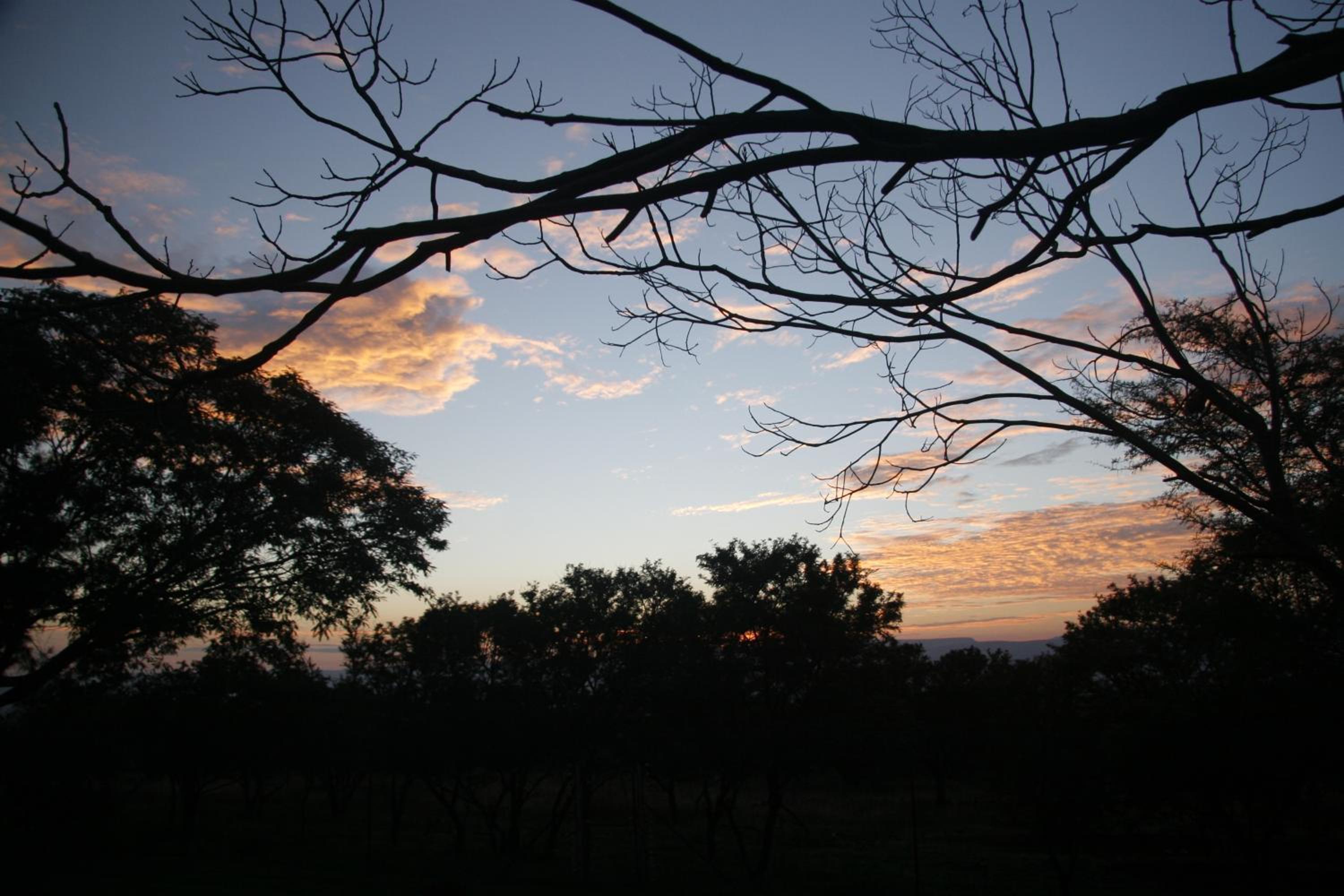 Photo 43