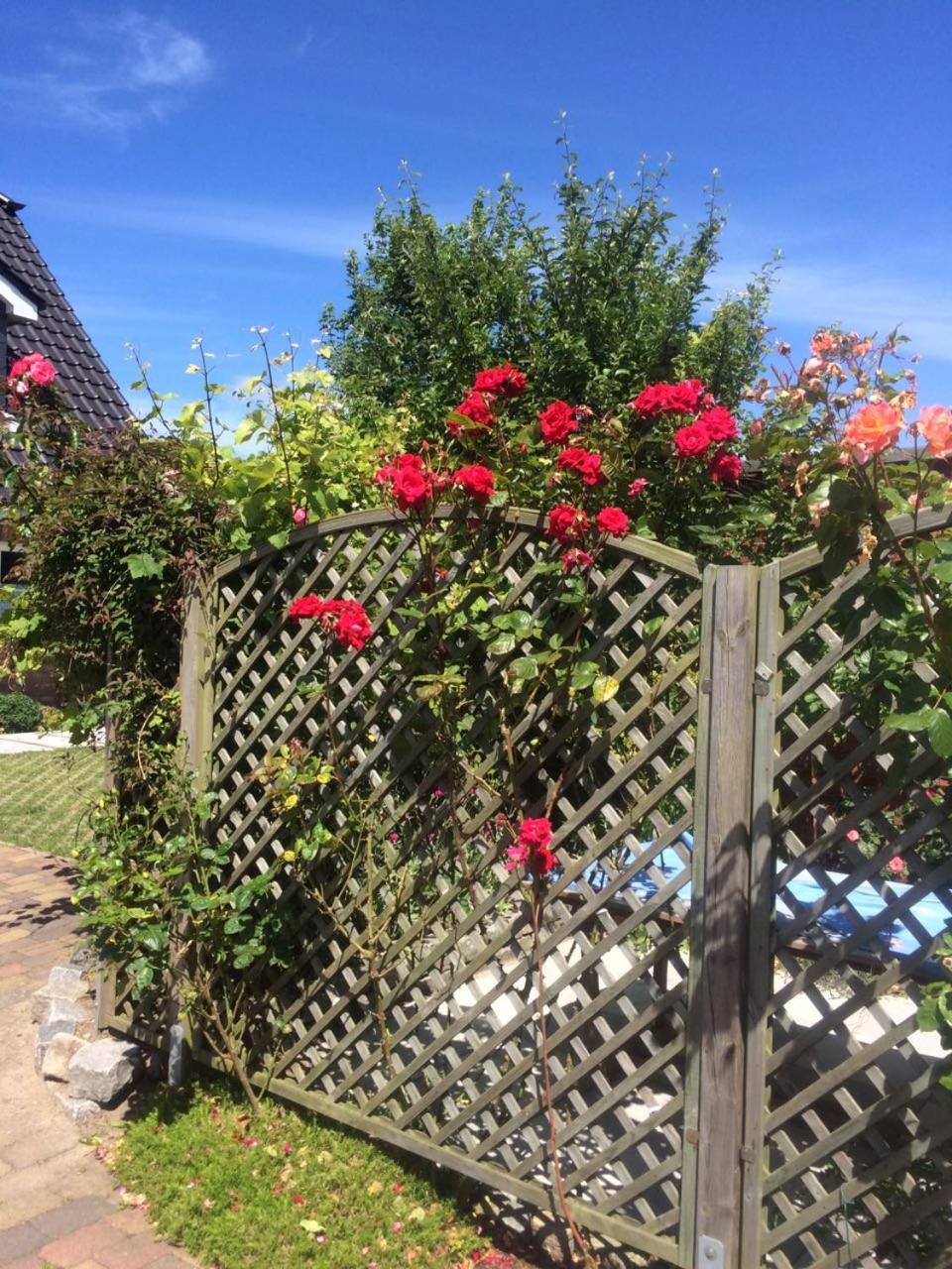 Photo 36
