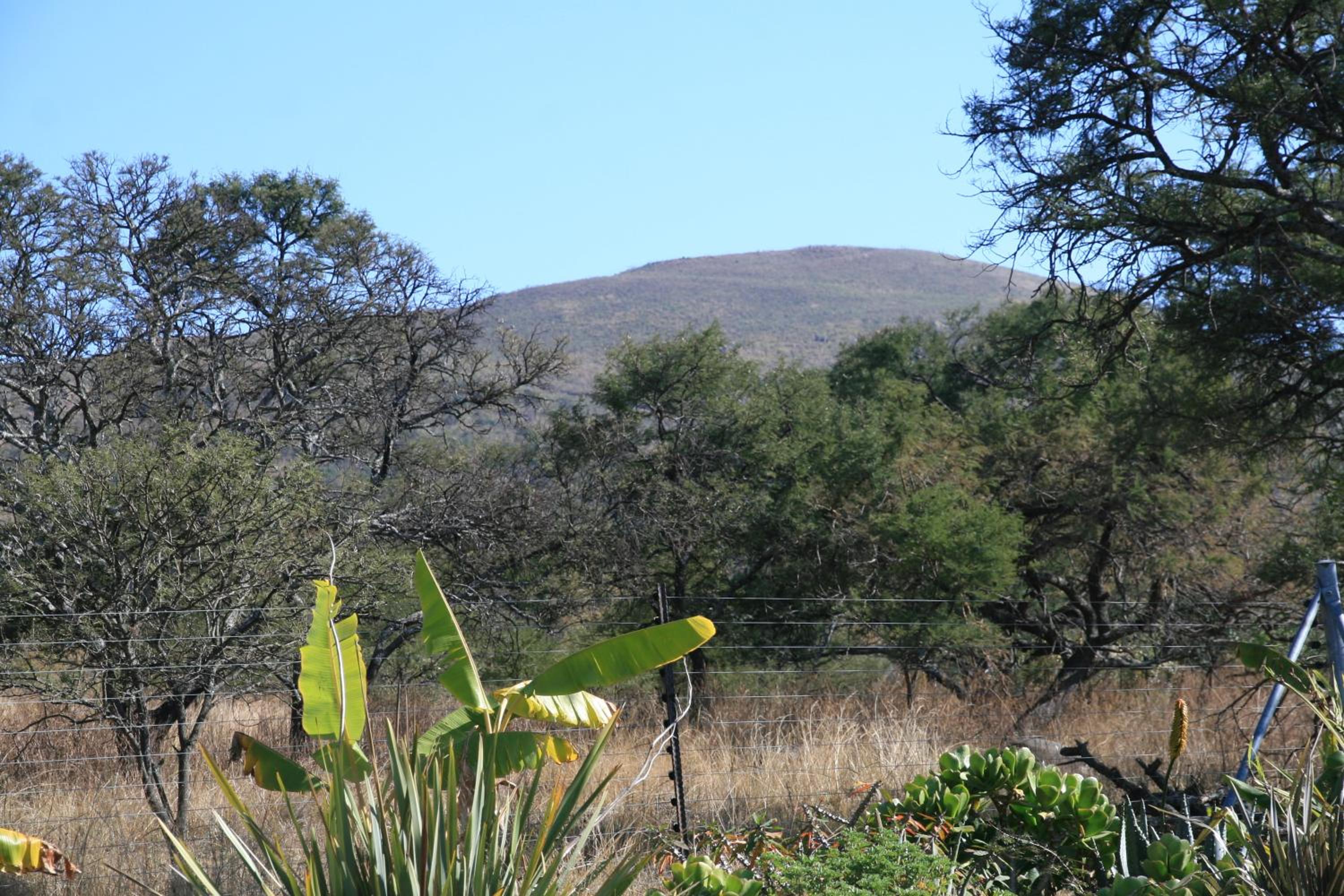 Photo 45