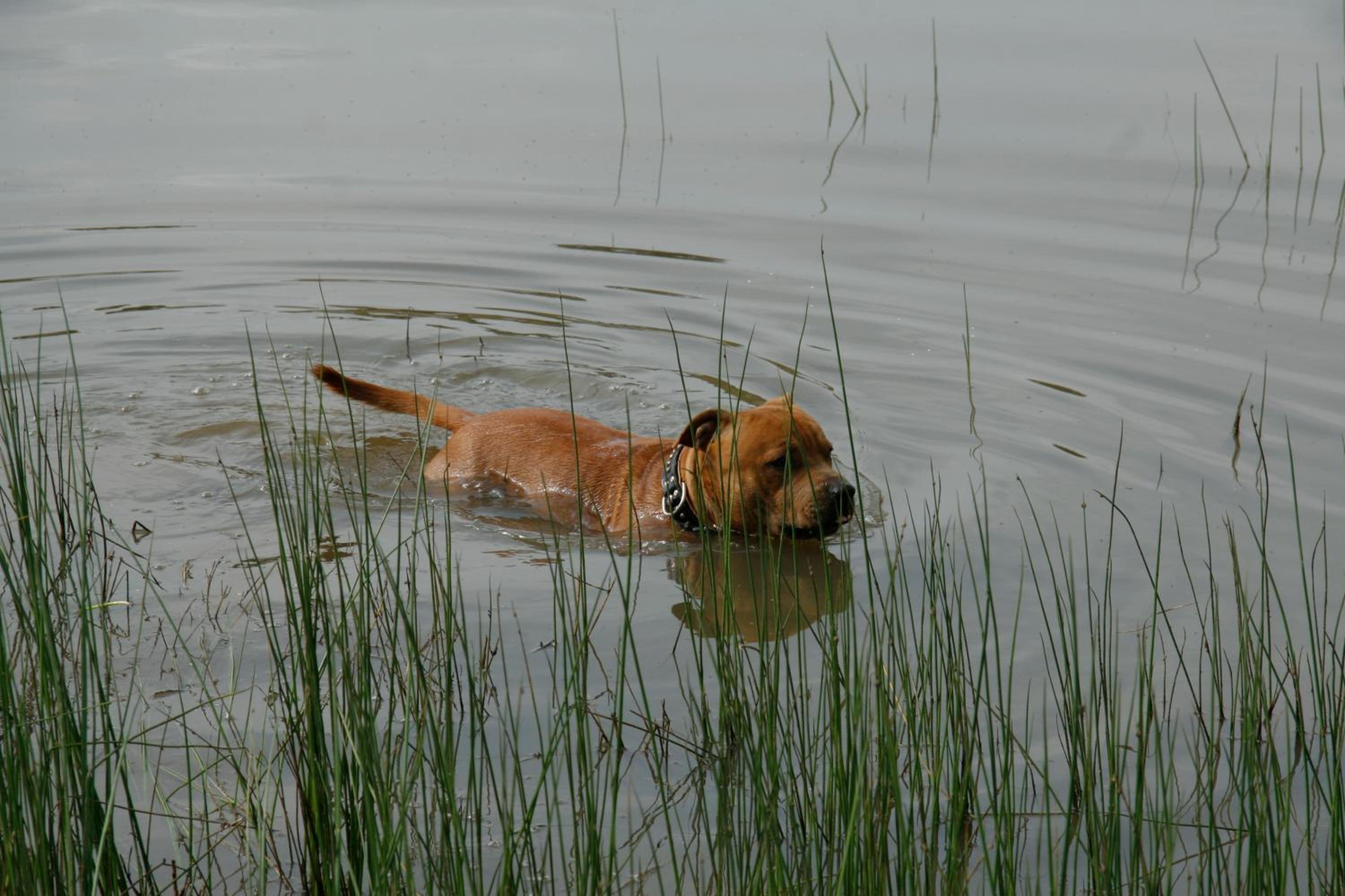 Photo 41