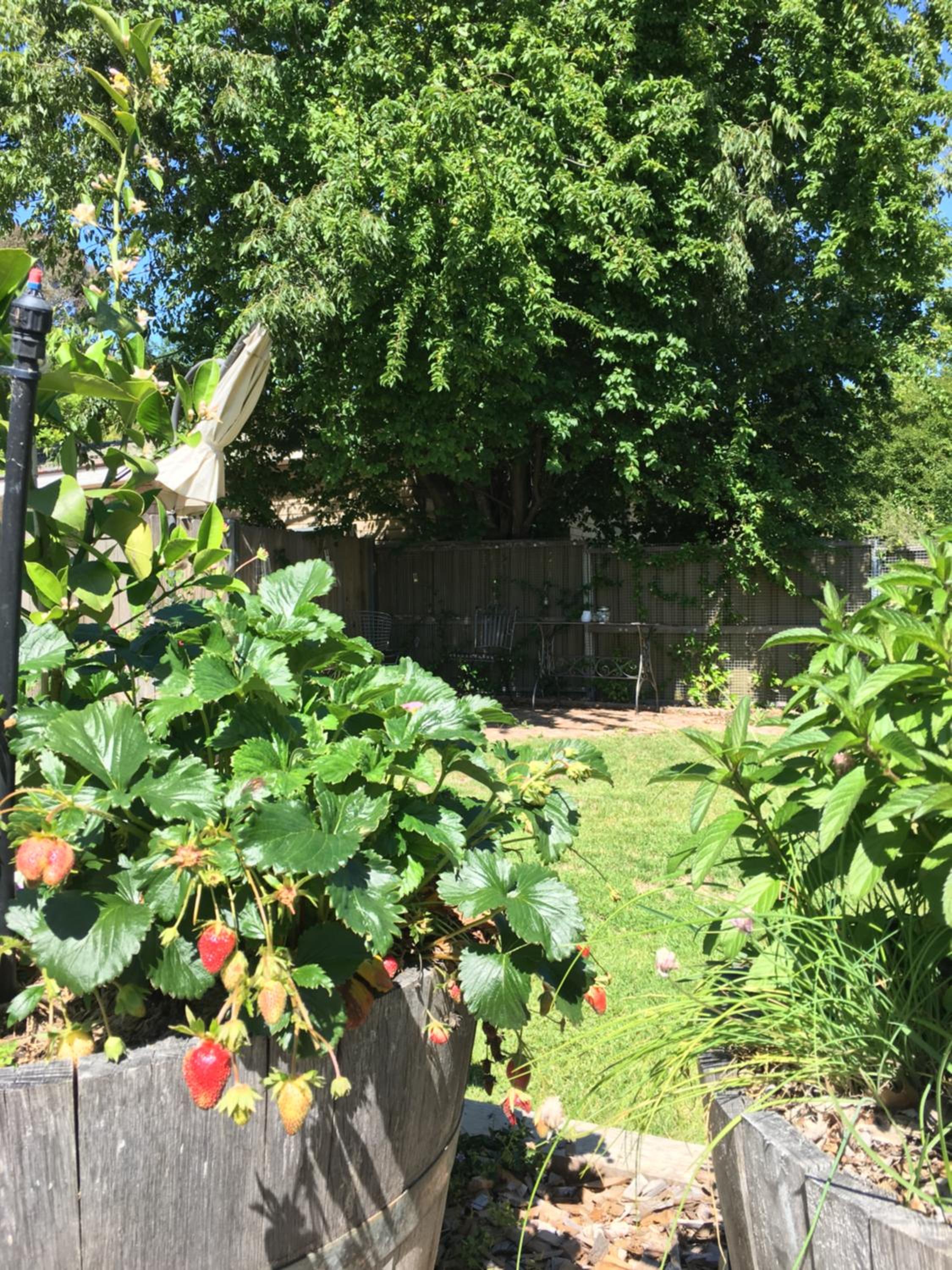 Photo 18