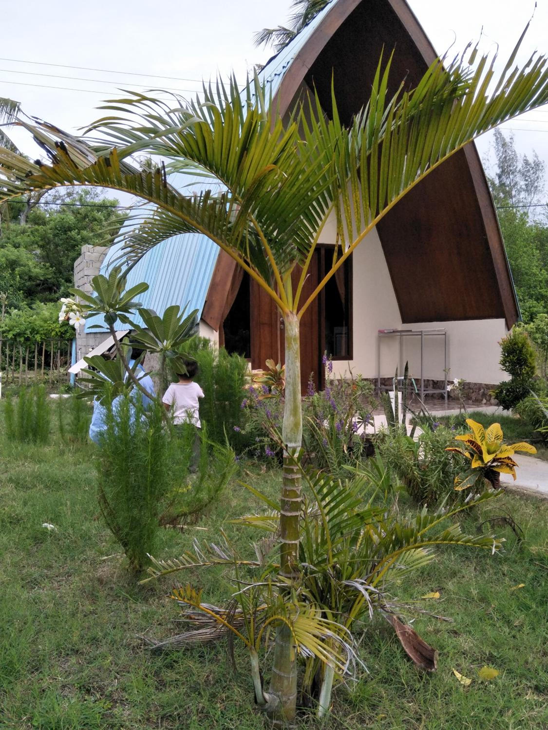 Photo 50