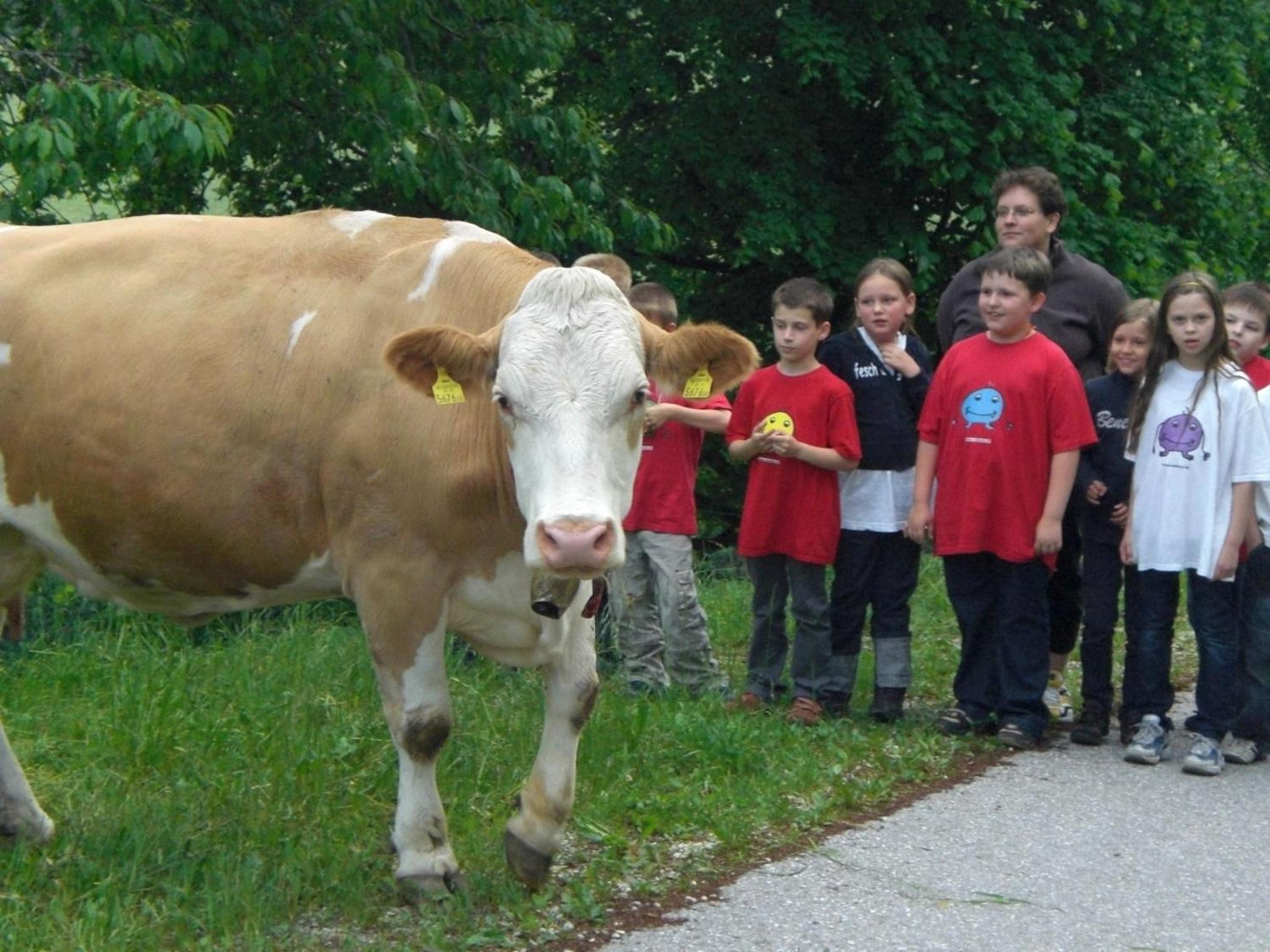 Urlaub am Bauernhof Grabenhofer