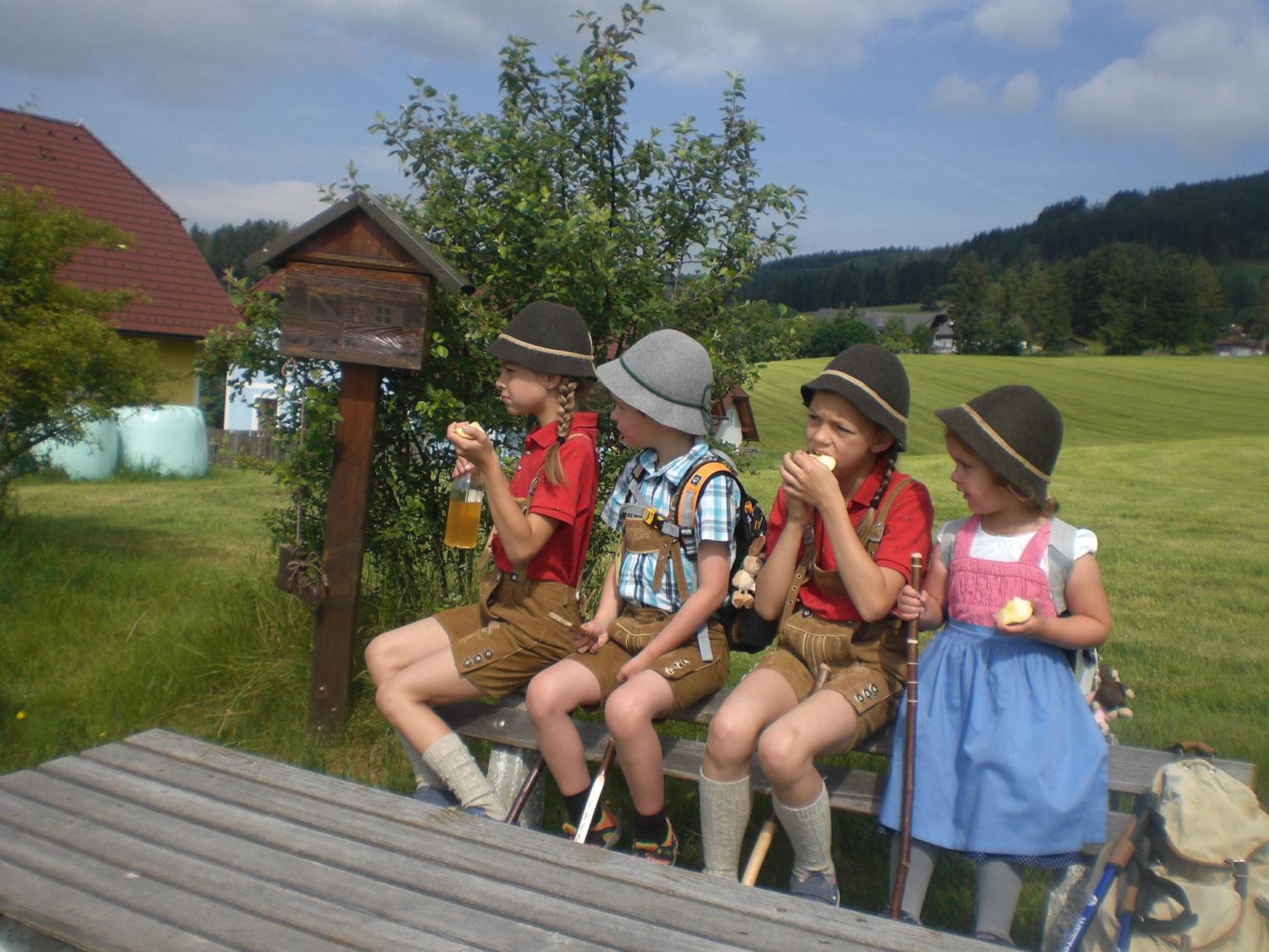 Urlaub am Bauernhof Grabenhofer