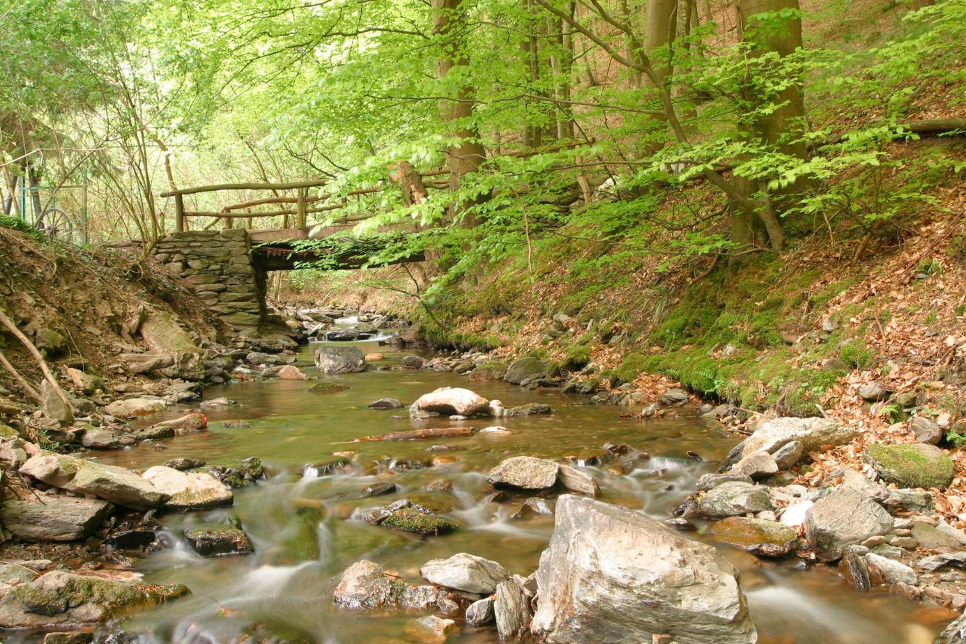 Pension Auf der Olk mit Röpertsmühle