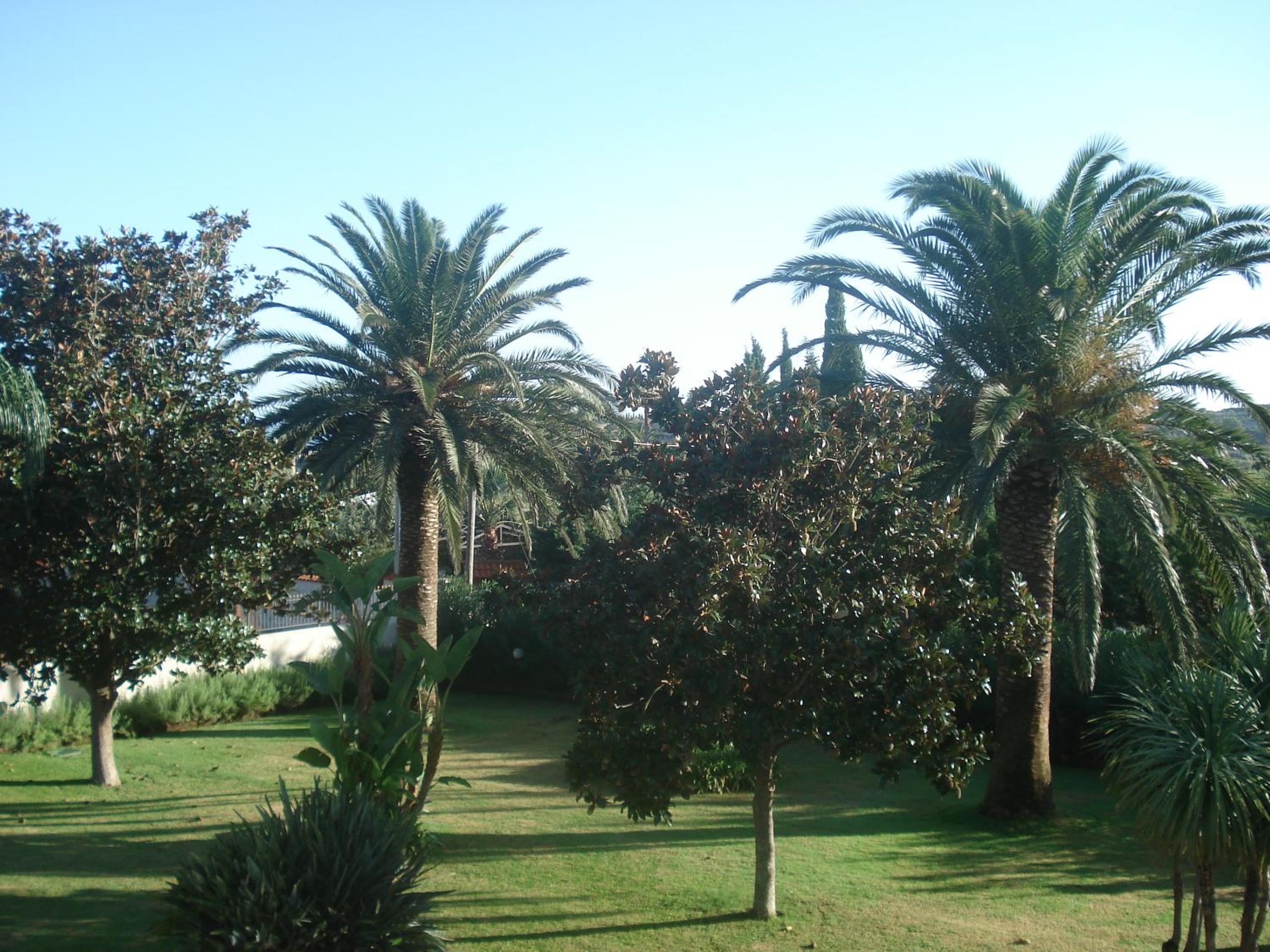 Villa Rosada view 3