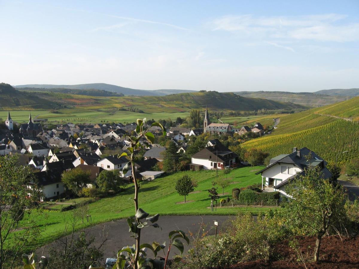 Pension Auf der Olk mit Röpertsmühle