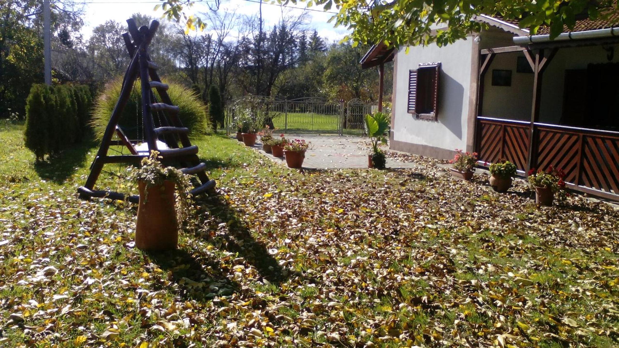 Photo 27