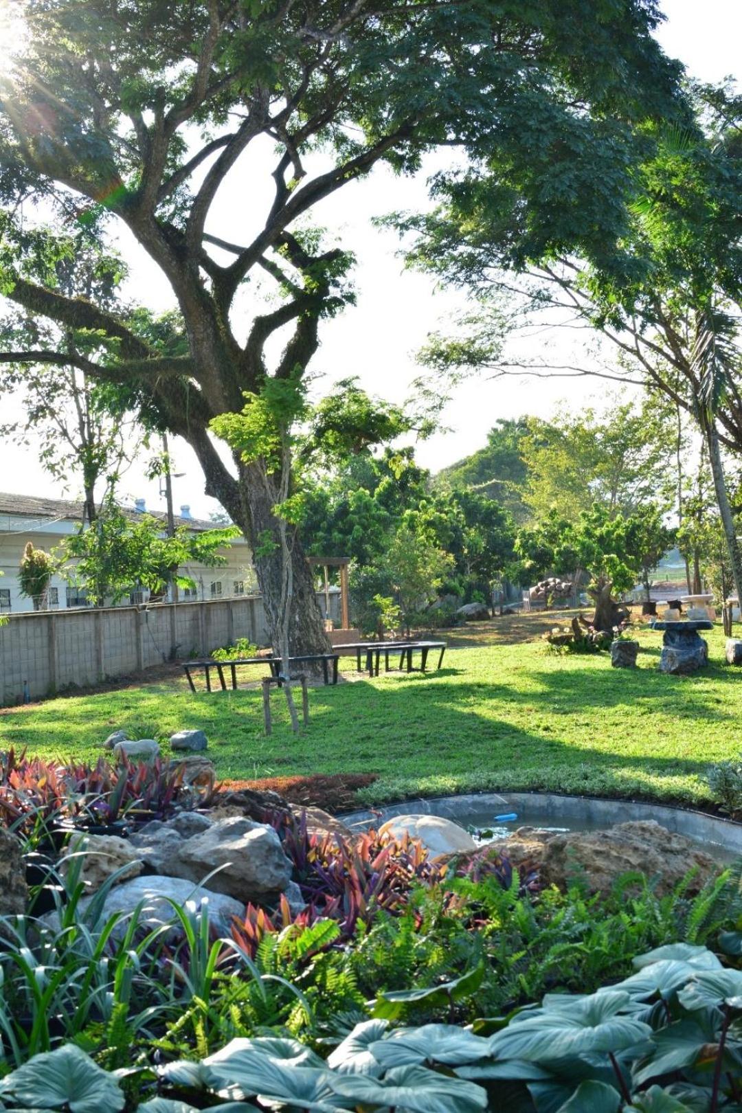 DD Garden Home