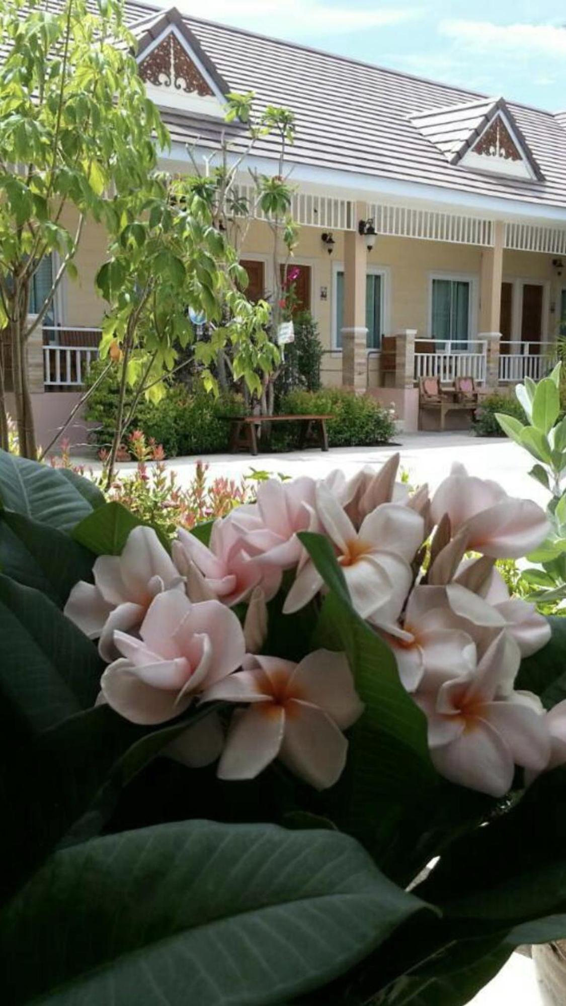 Suksopha Resort view 4