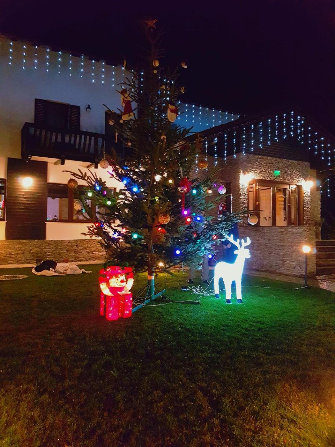 Photo 41