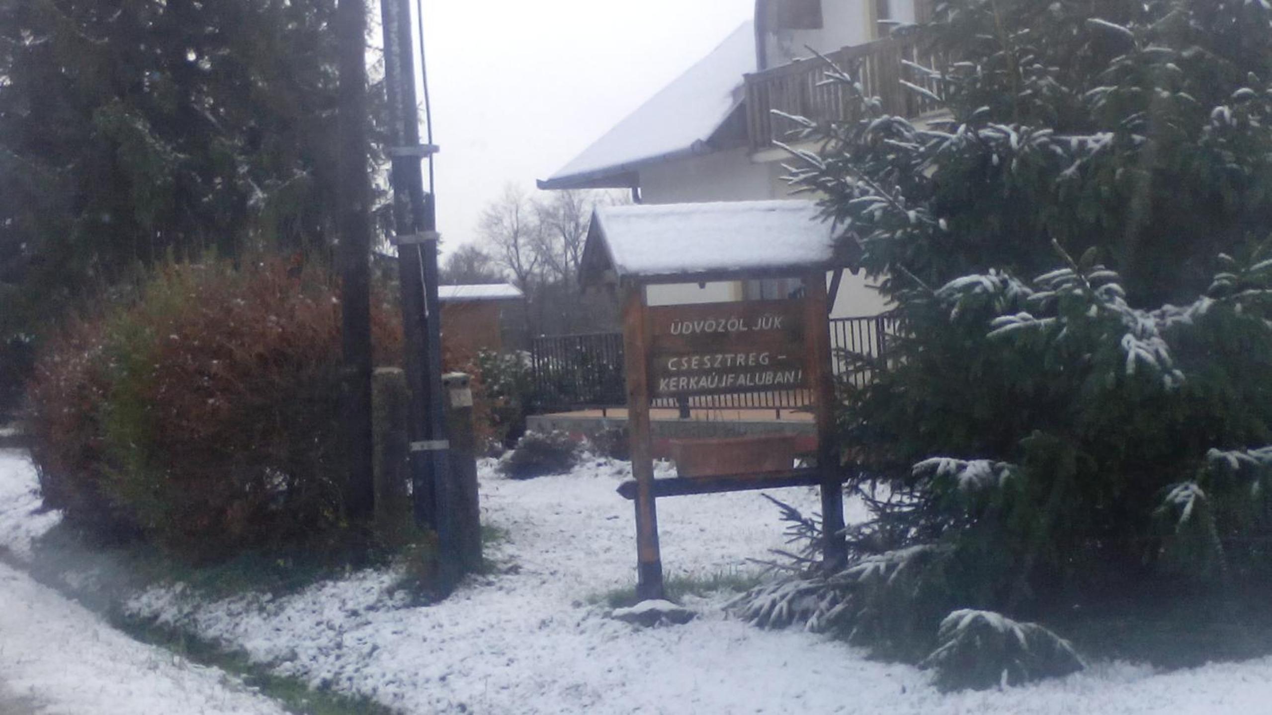 Photo 42