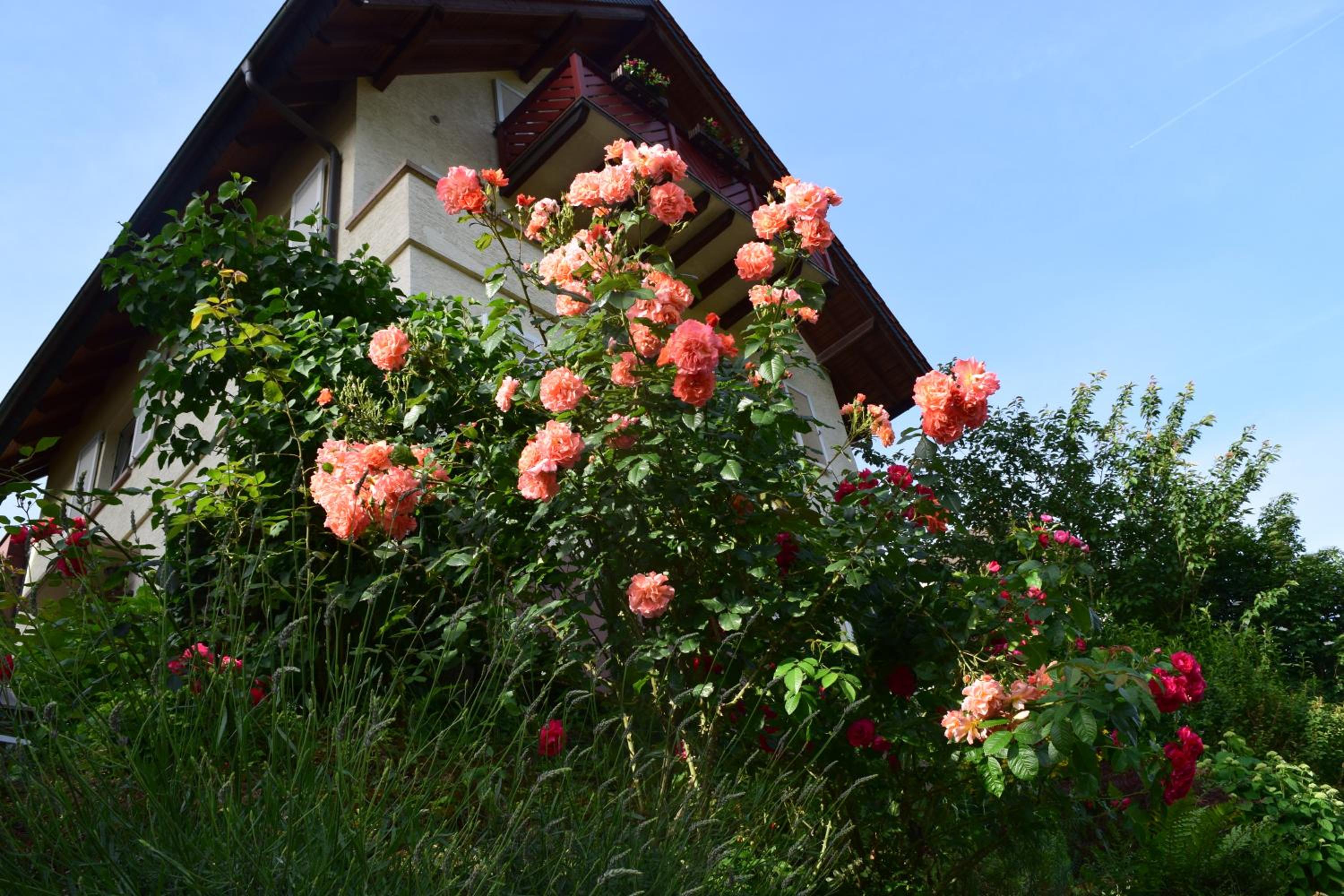 other