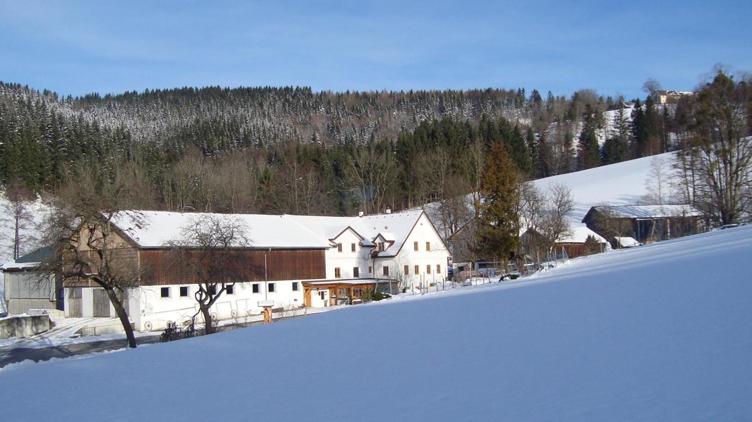 Einkehrhof Poggau