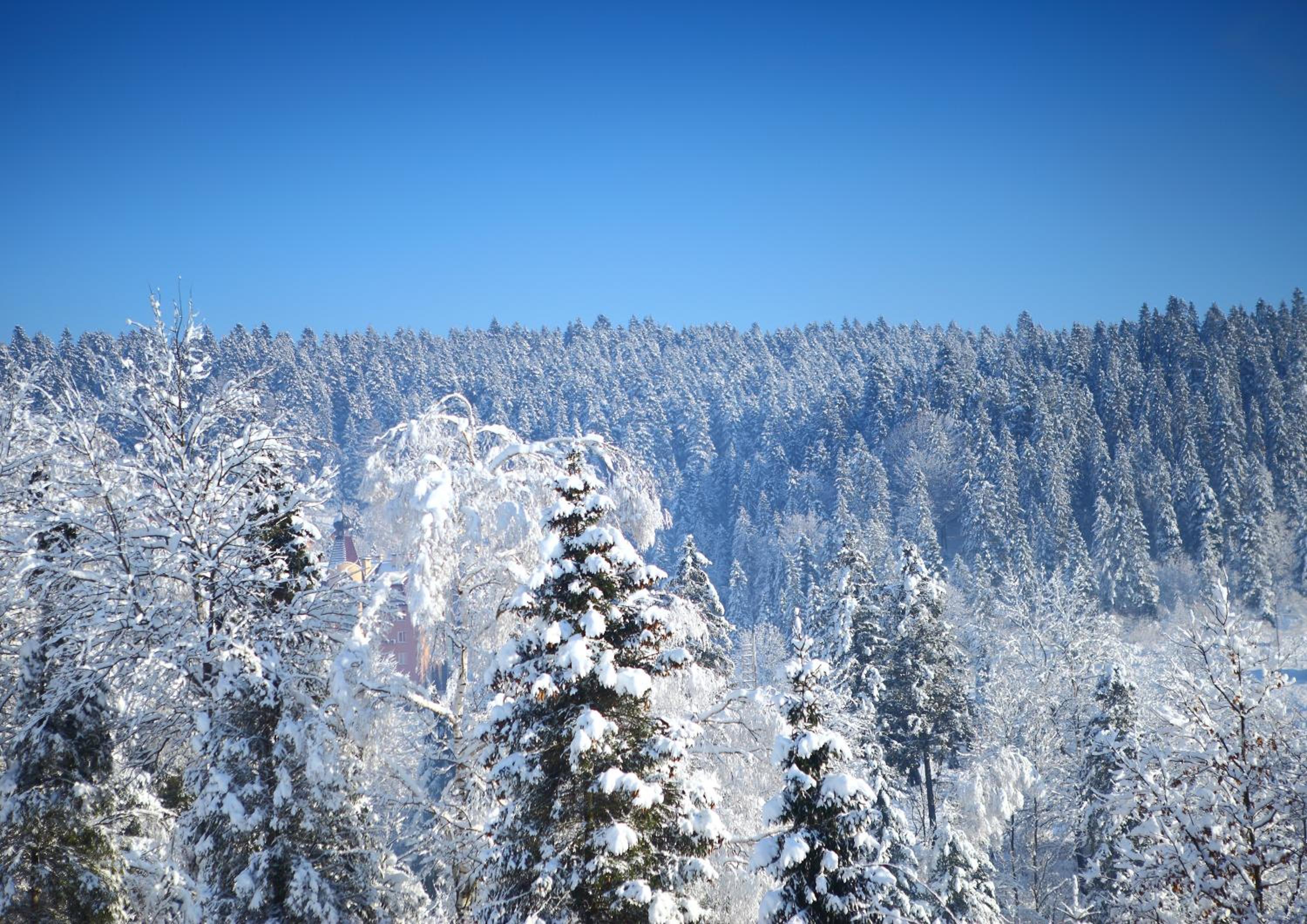 FAVAR Carpathians