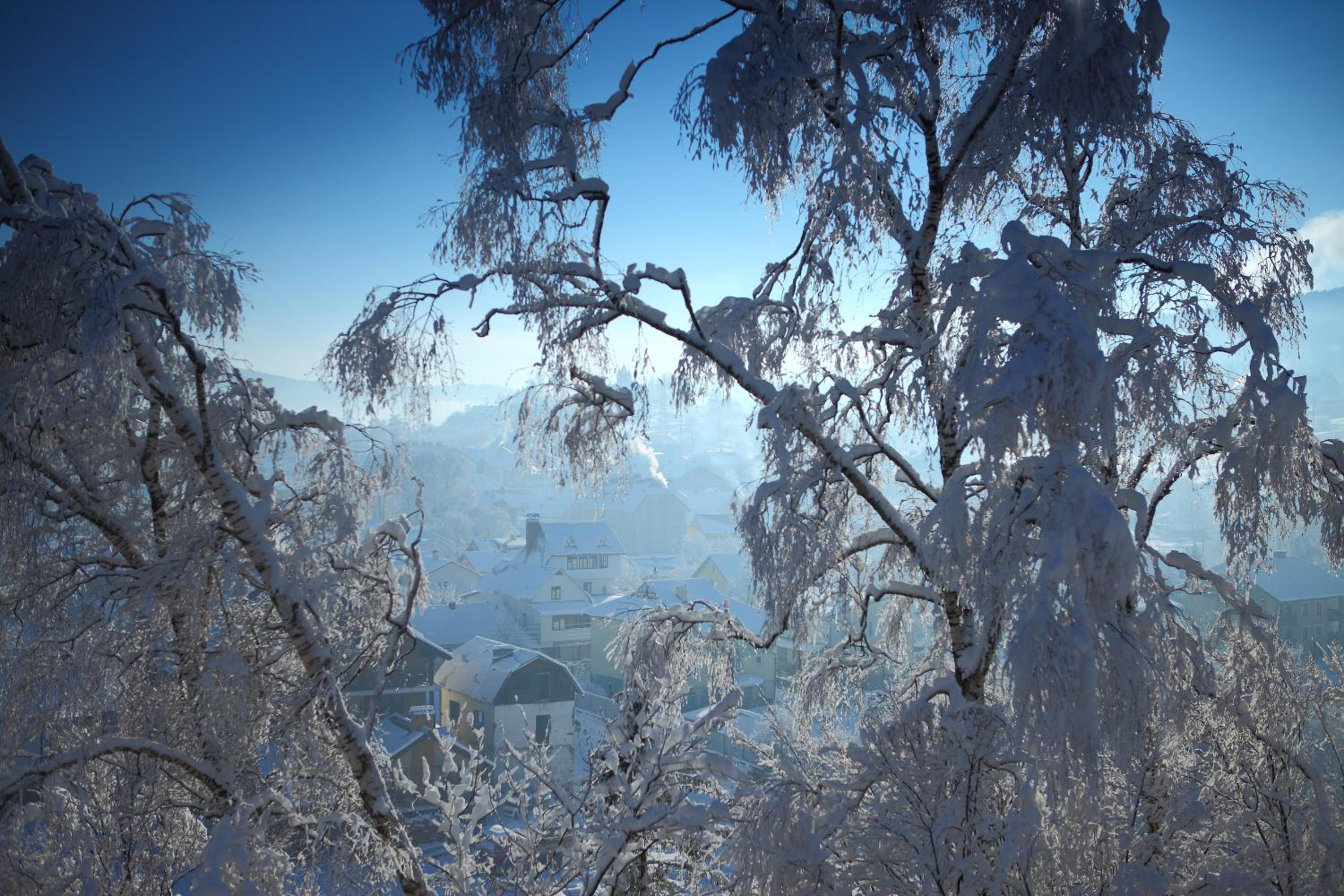 FAVAR Carpathians