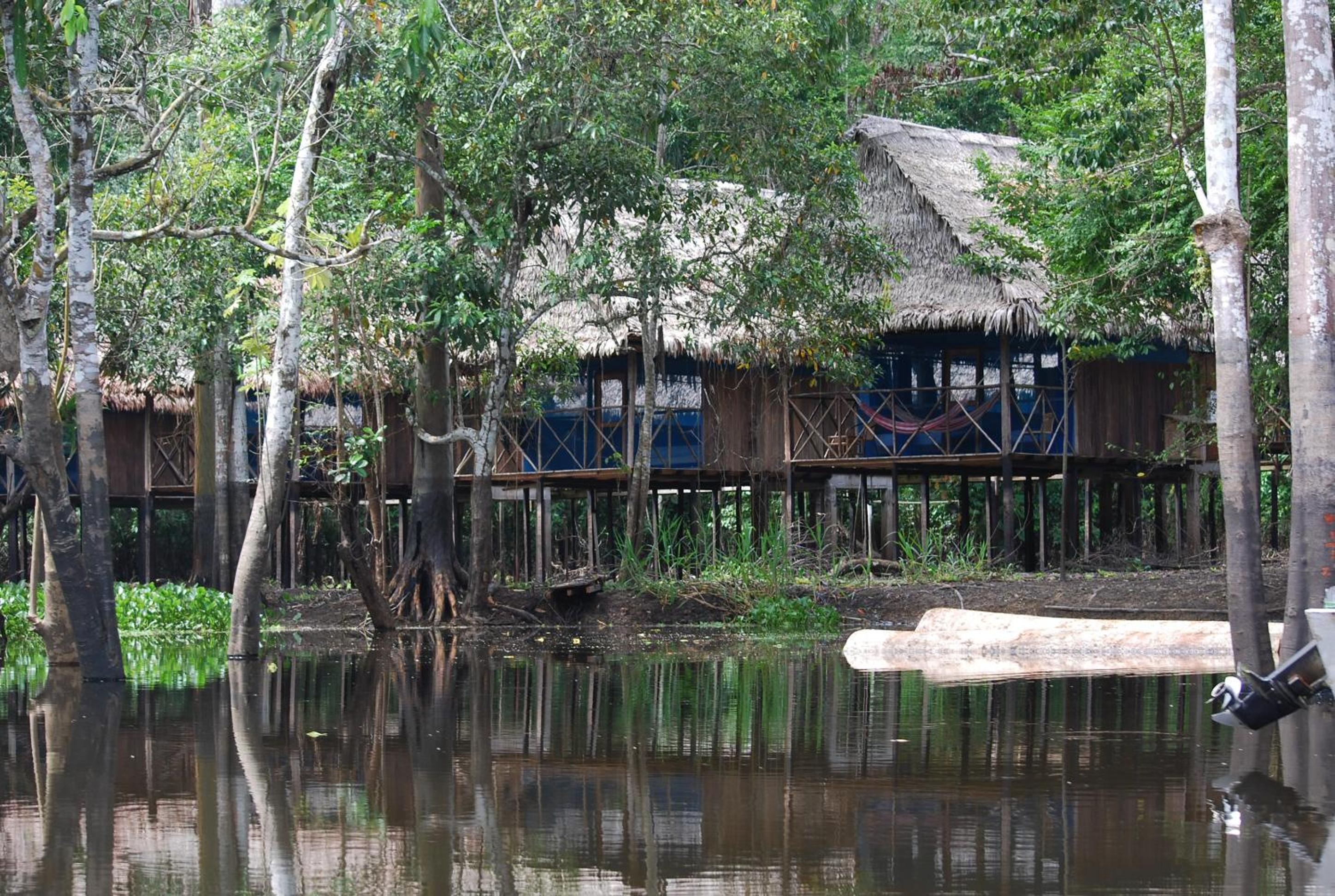 Amazon Muyuna Lodge - All Inclusive