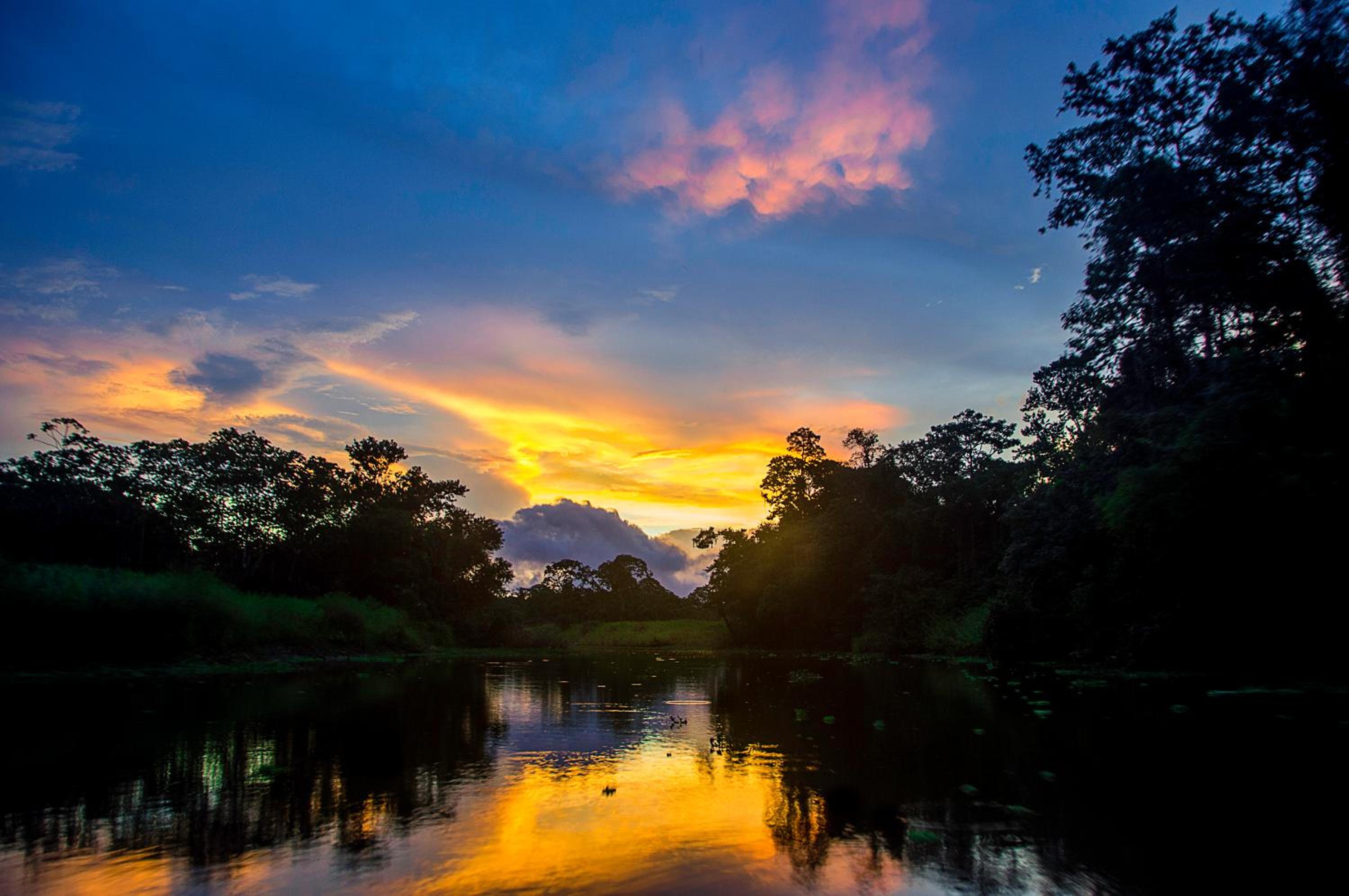 Amazon Muyuna Lodge - All Inclusive
