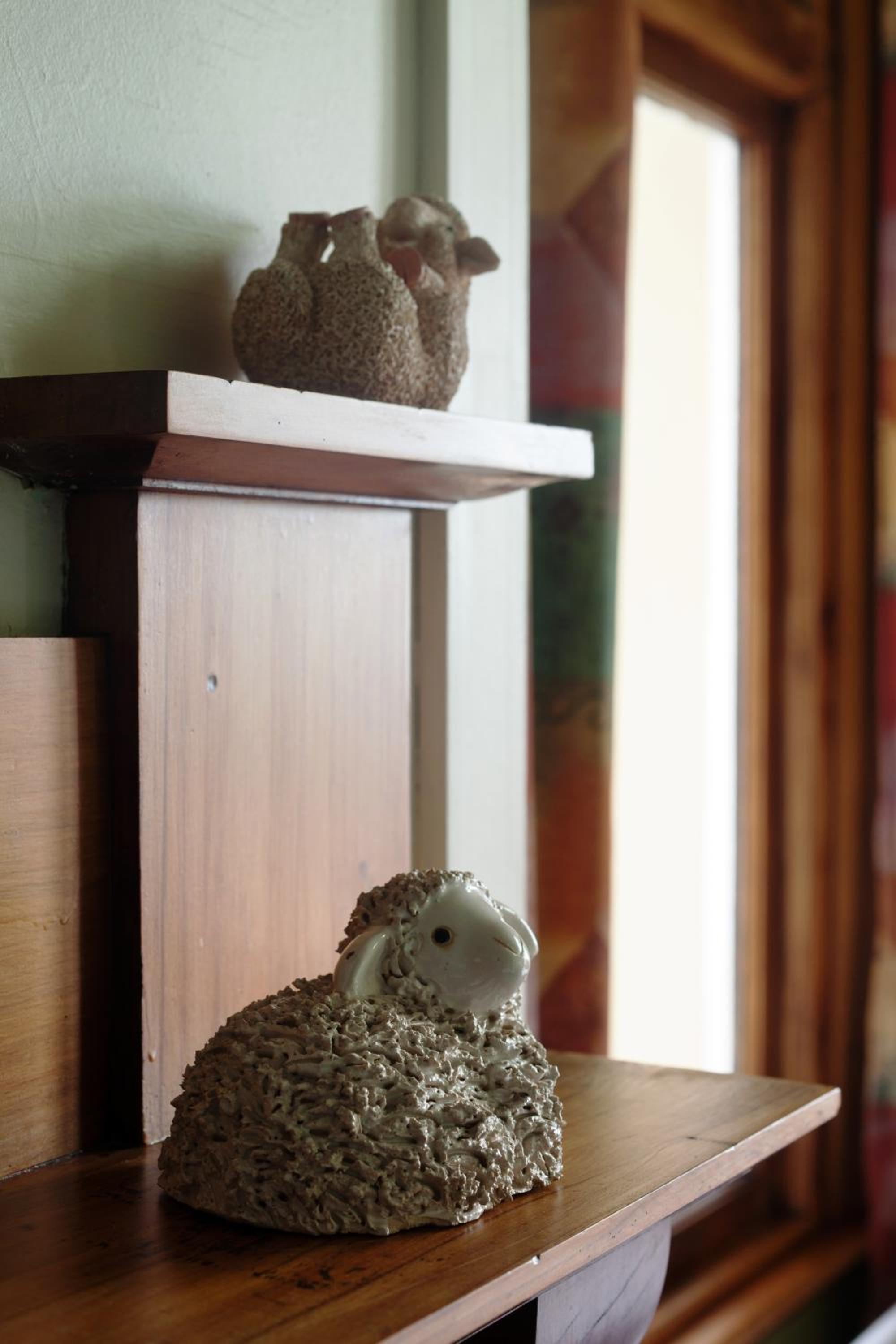 Noah's Ark Flashpacker