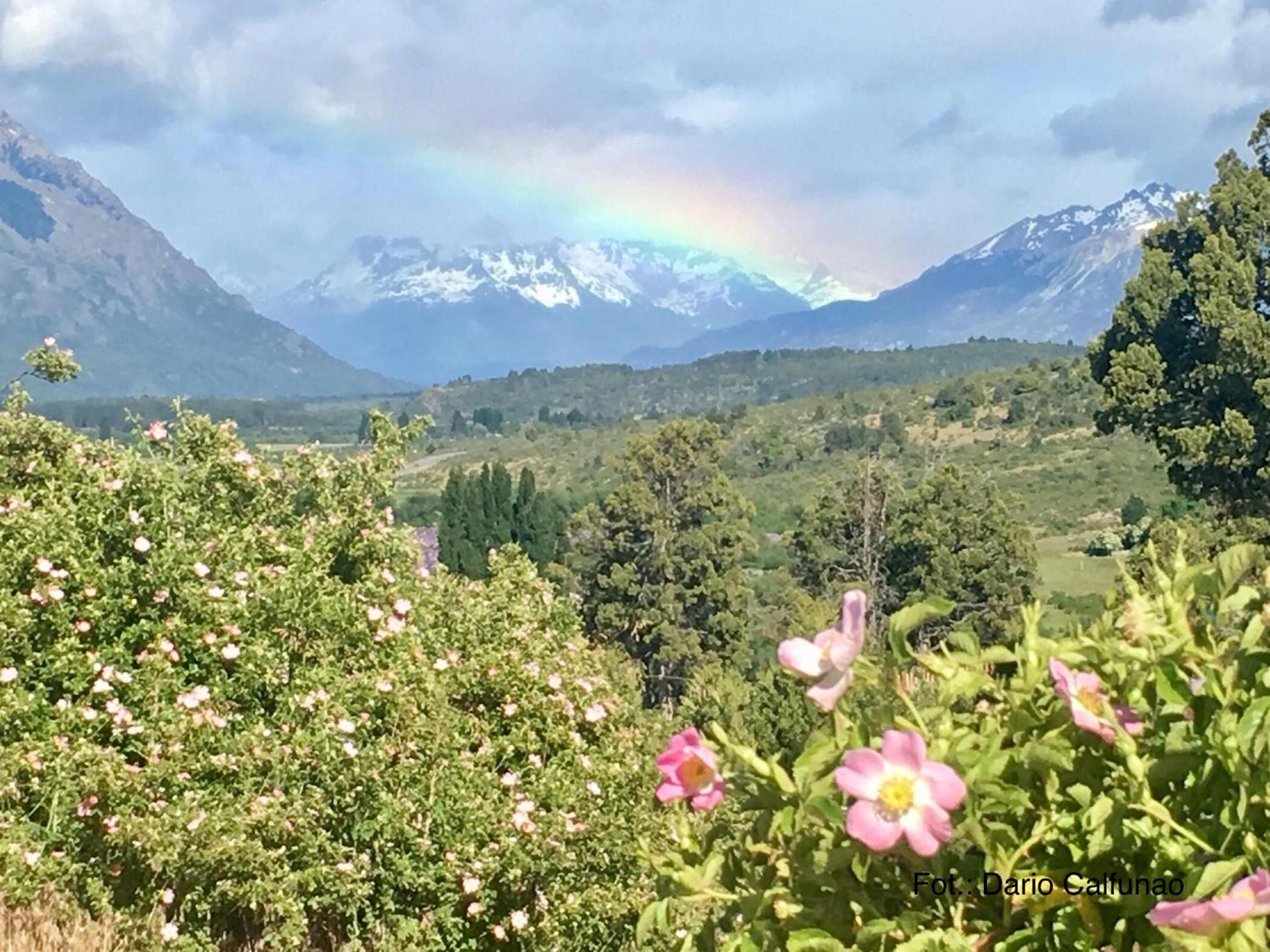 Piuke Mapu Patagonia Hostel