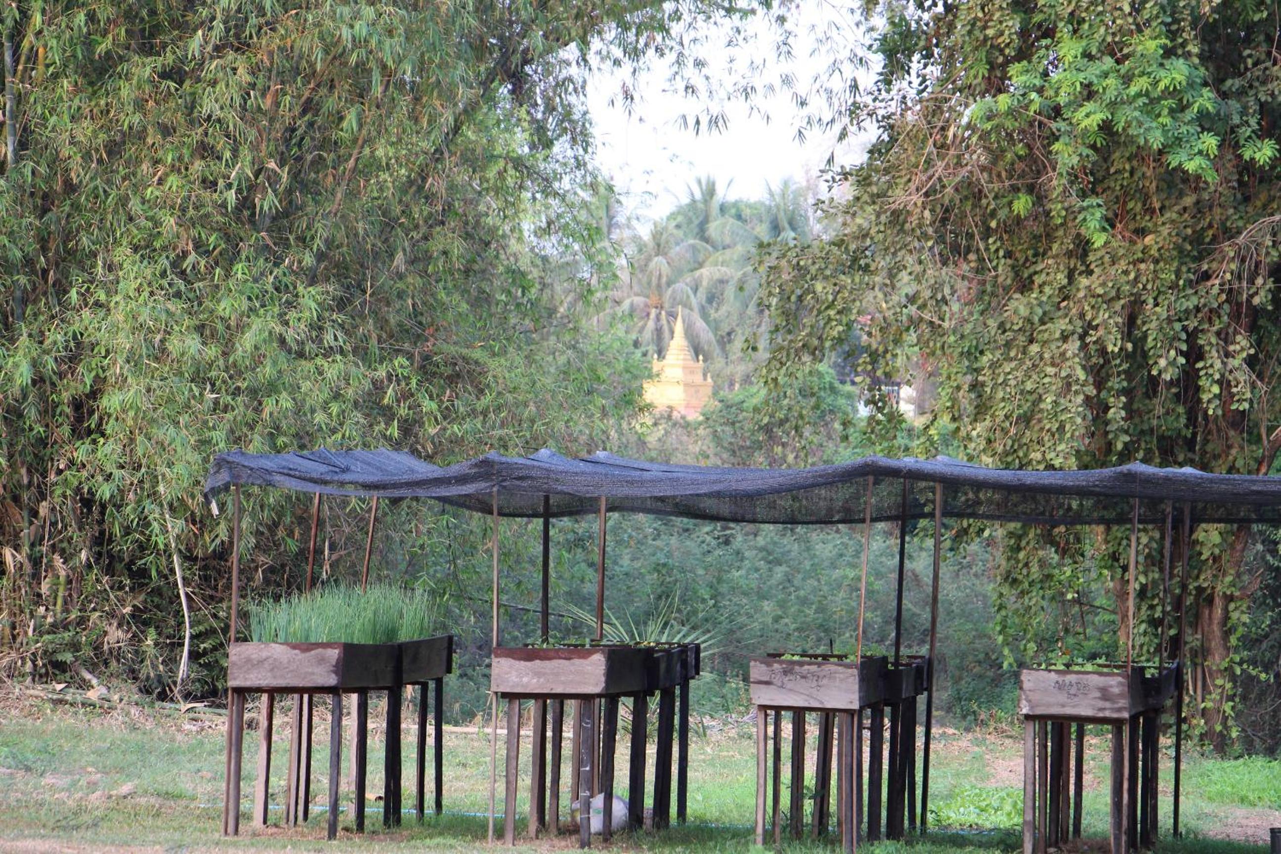 Soriyabori Resort