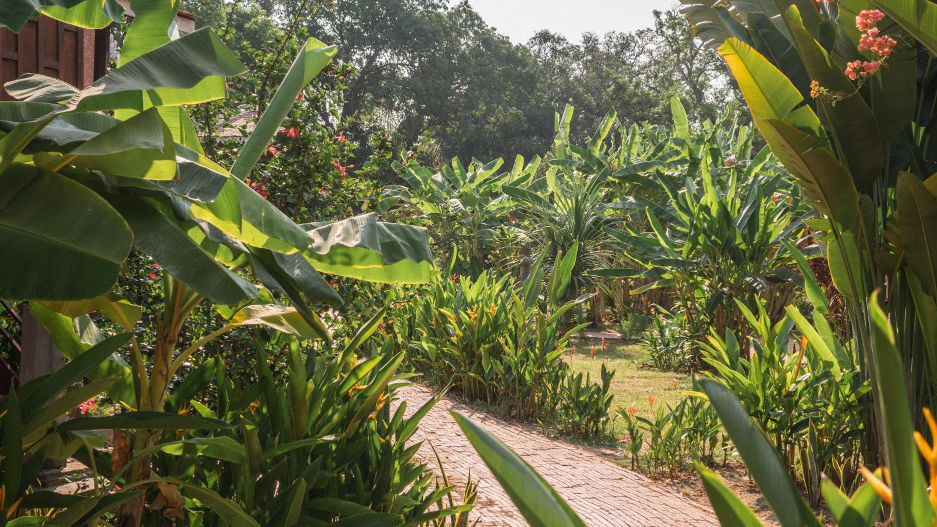 Soriyabori Resort