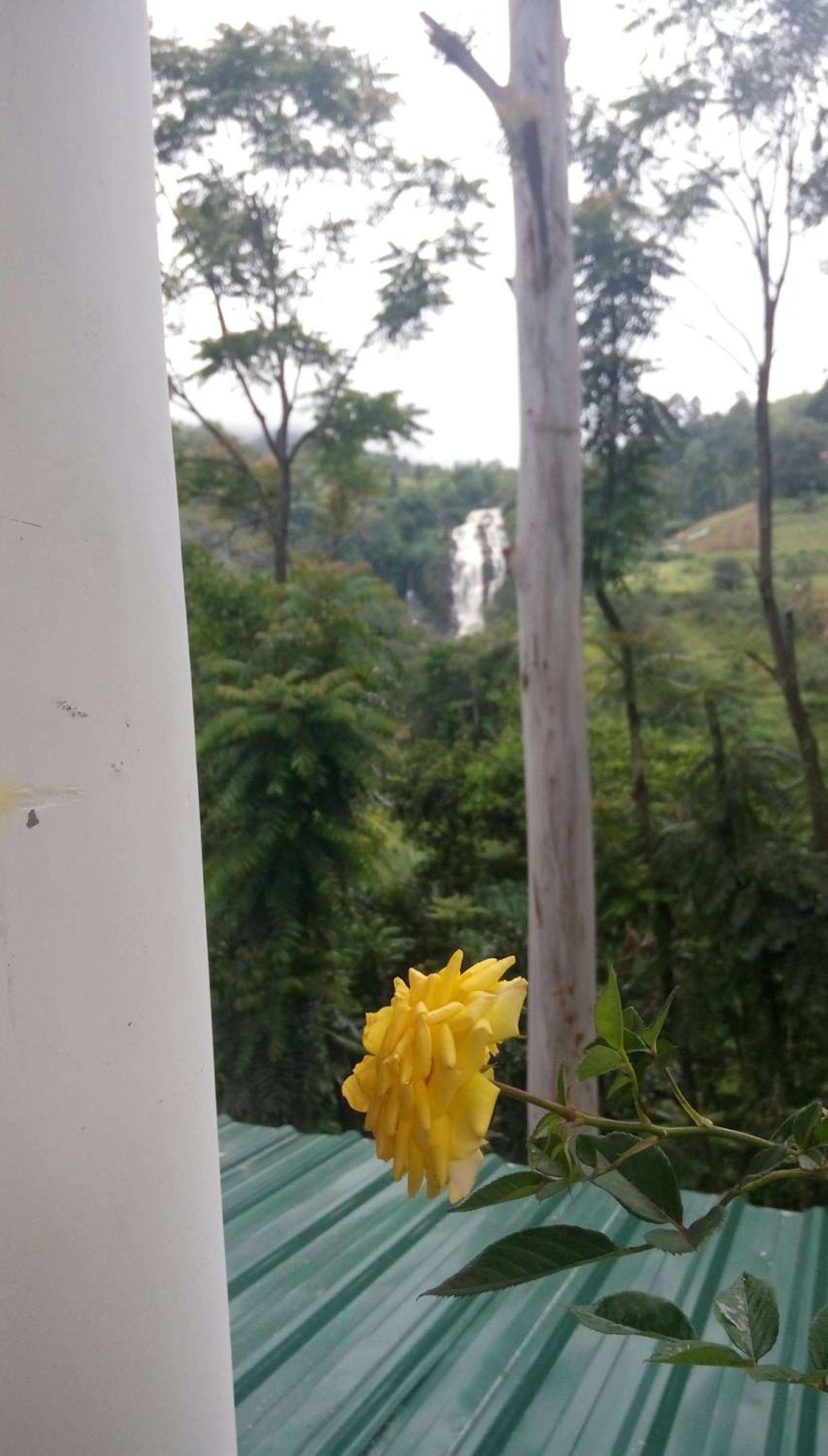 Nature's Glow Homestay view 4