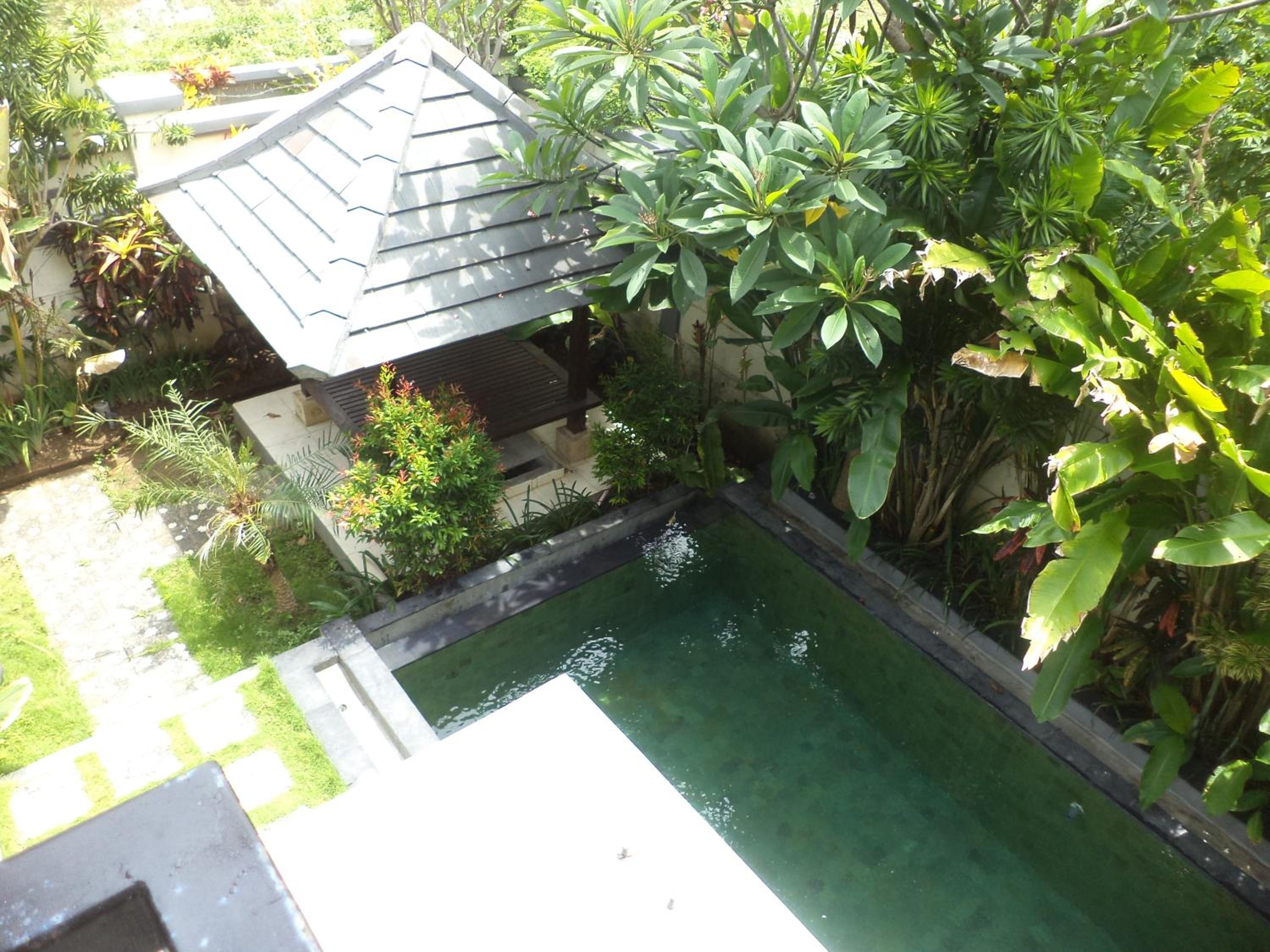 Photo 42