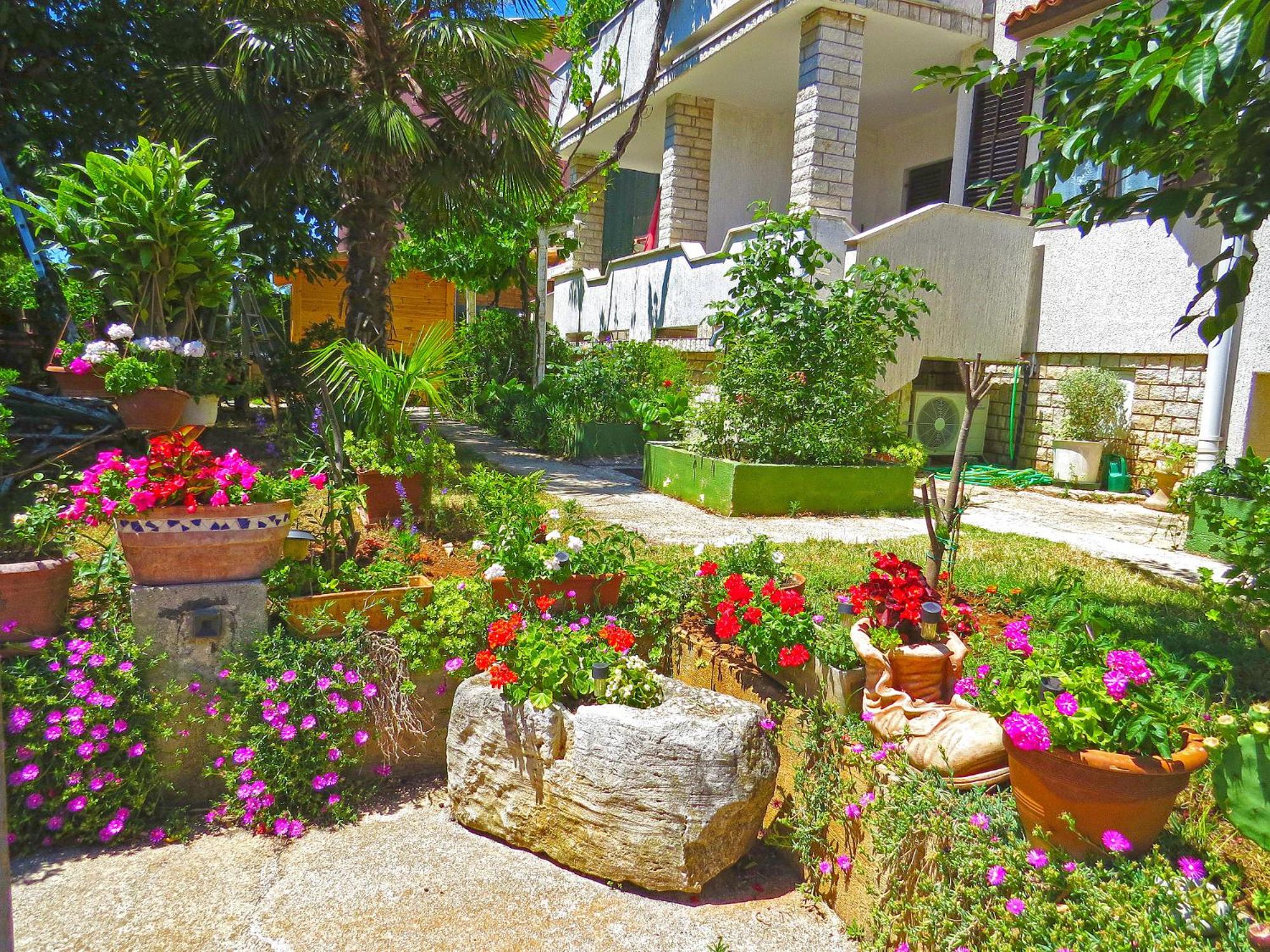 Apartments Milica 961