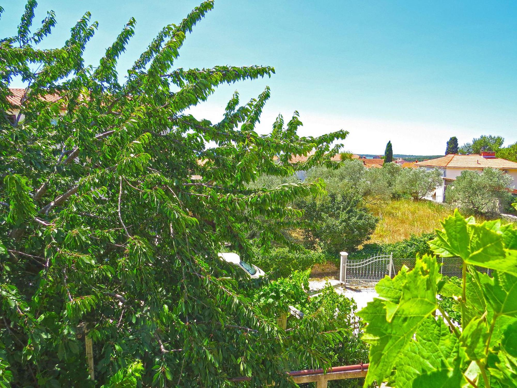 Apartments Milica 961