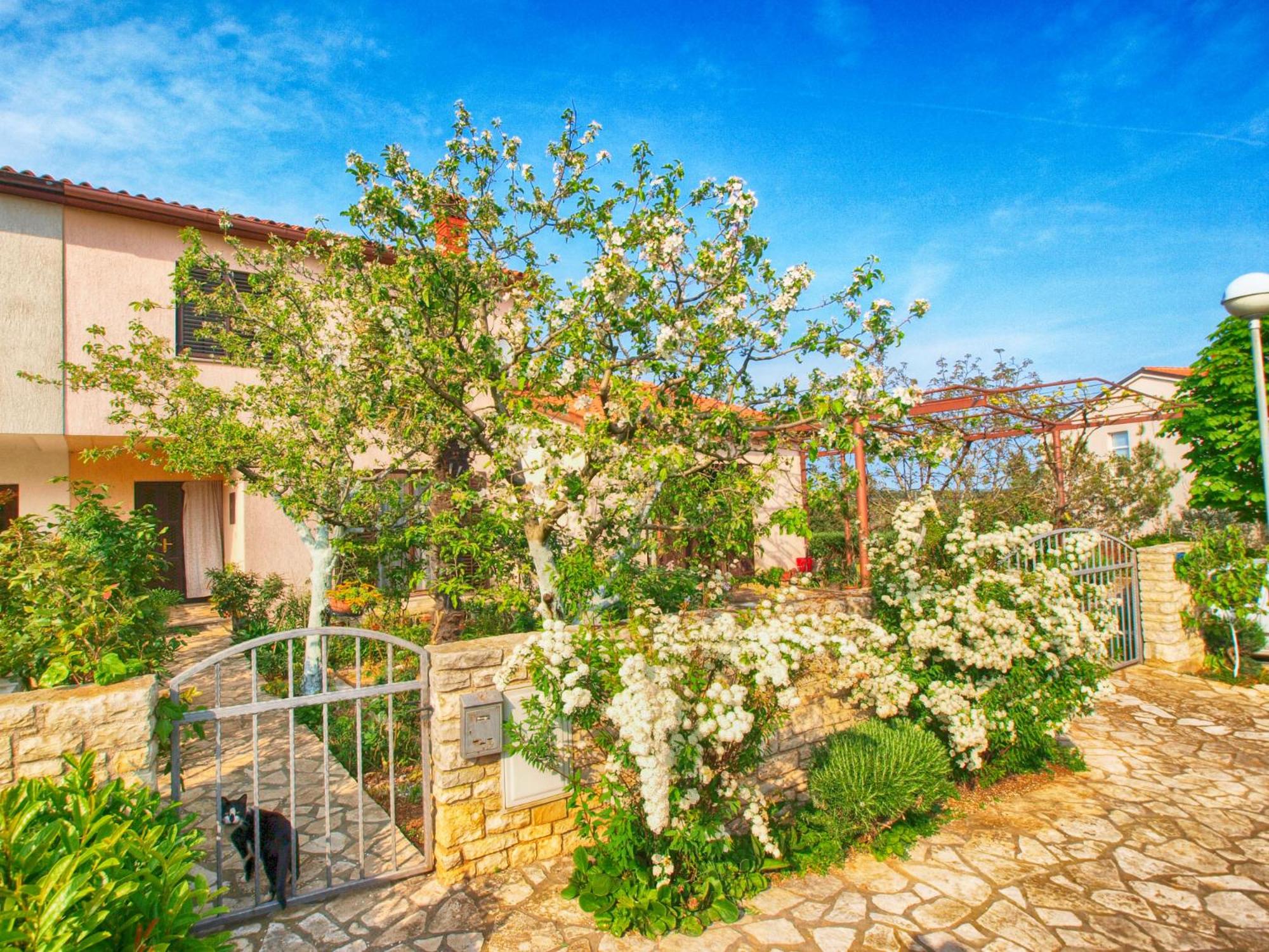 Apartments Dvorine 1210 view 3