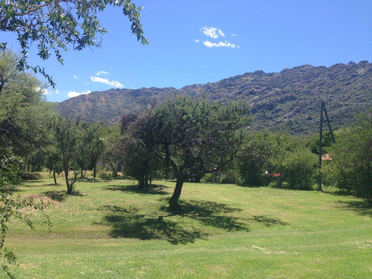 Complejo Arlington Village
