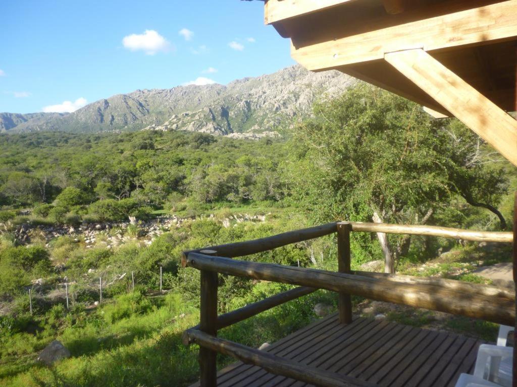 Complejo Arlington Village