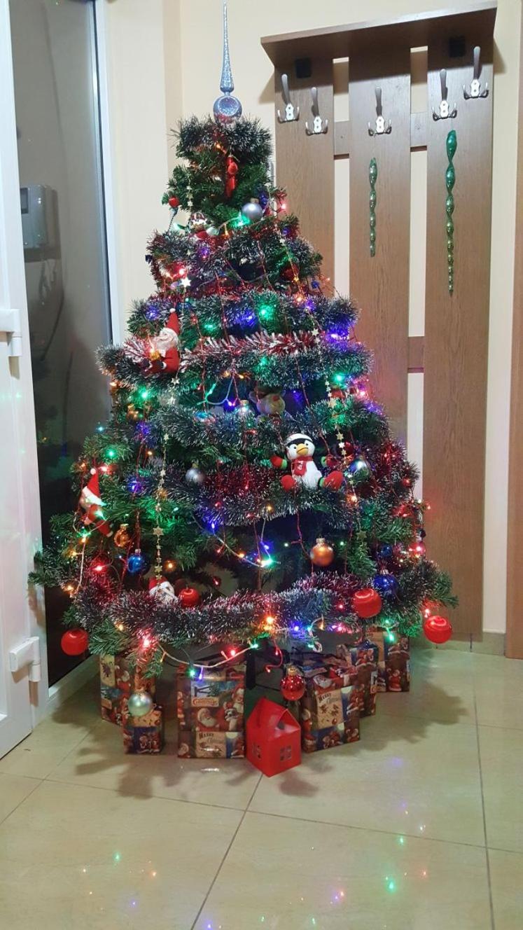 Photo 42