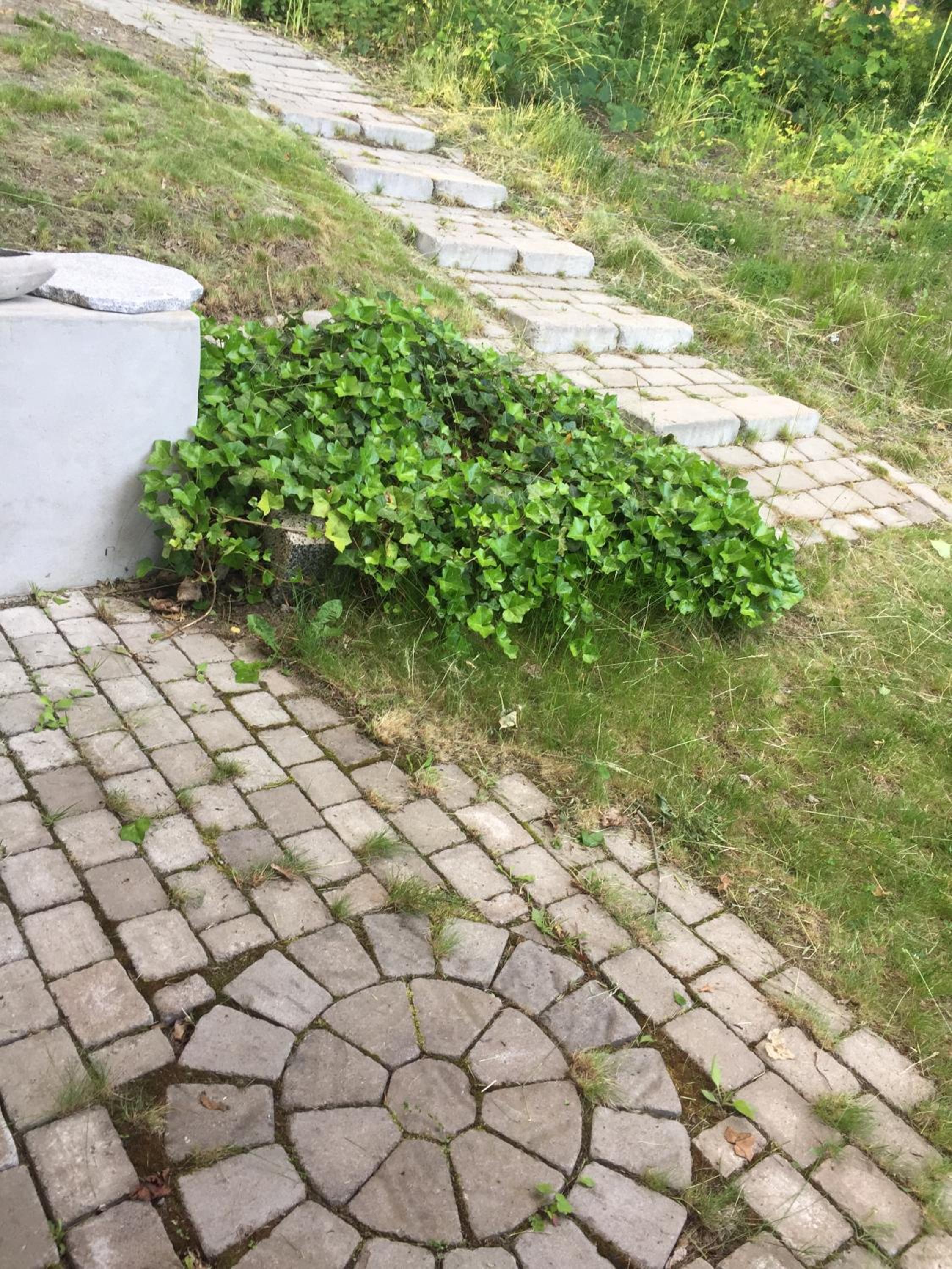 Photo 51