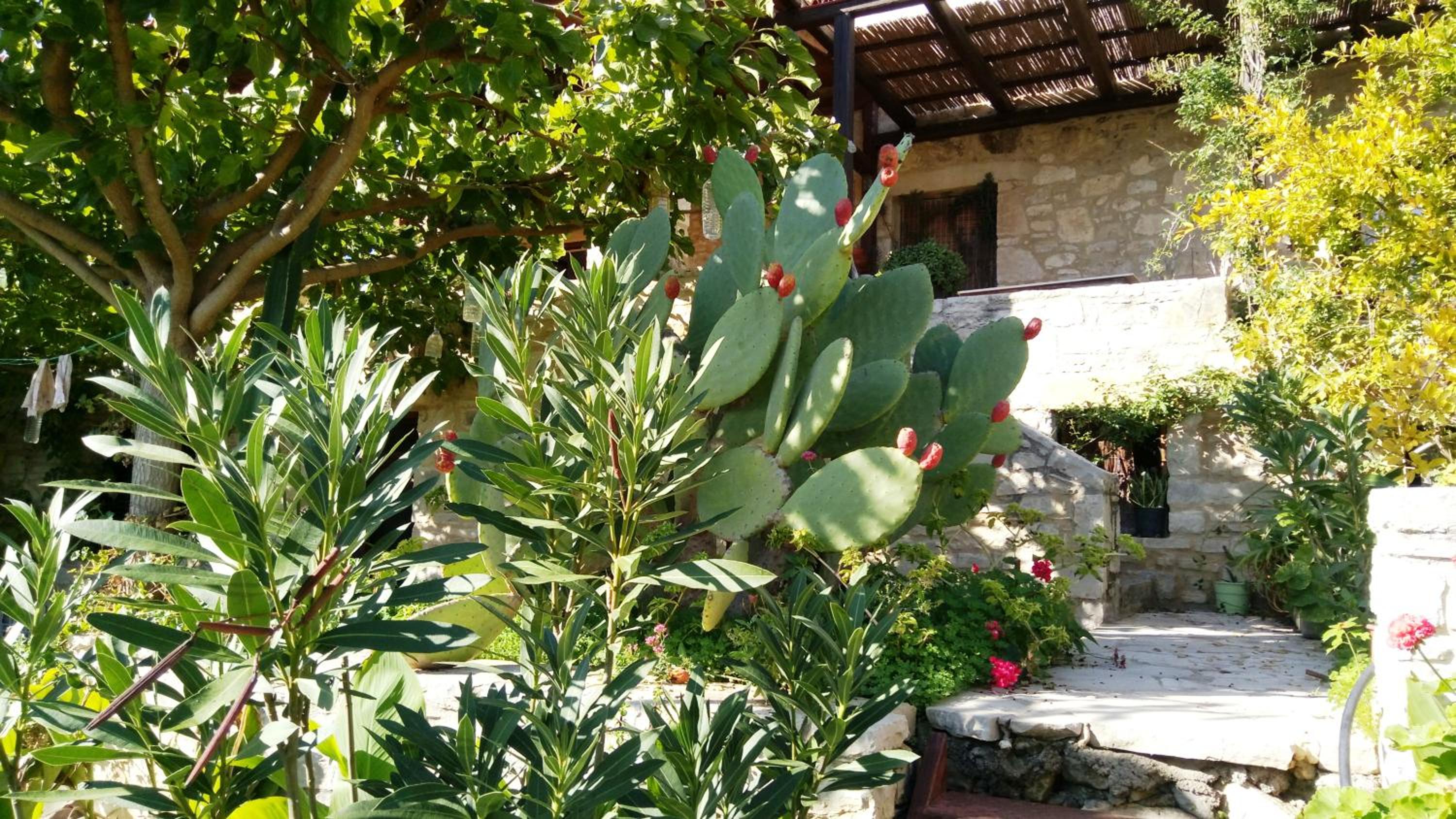 Photo 18