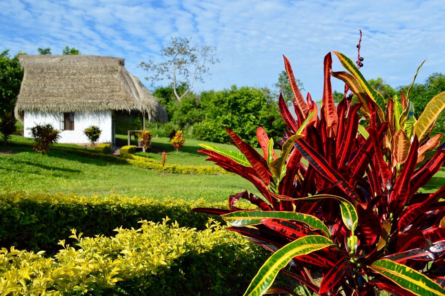 Sauce Lodge - Laguna Azul