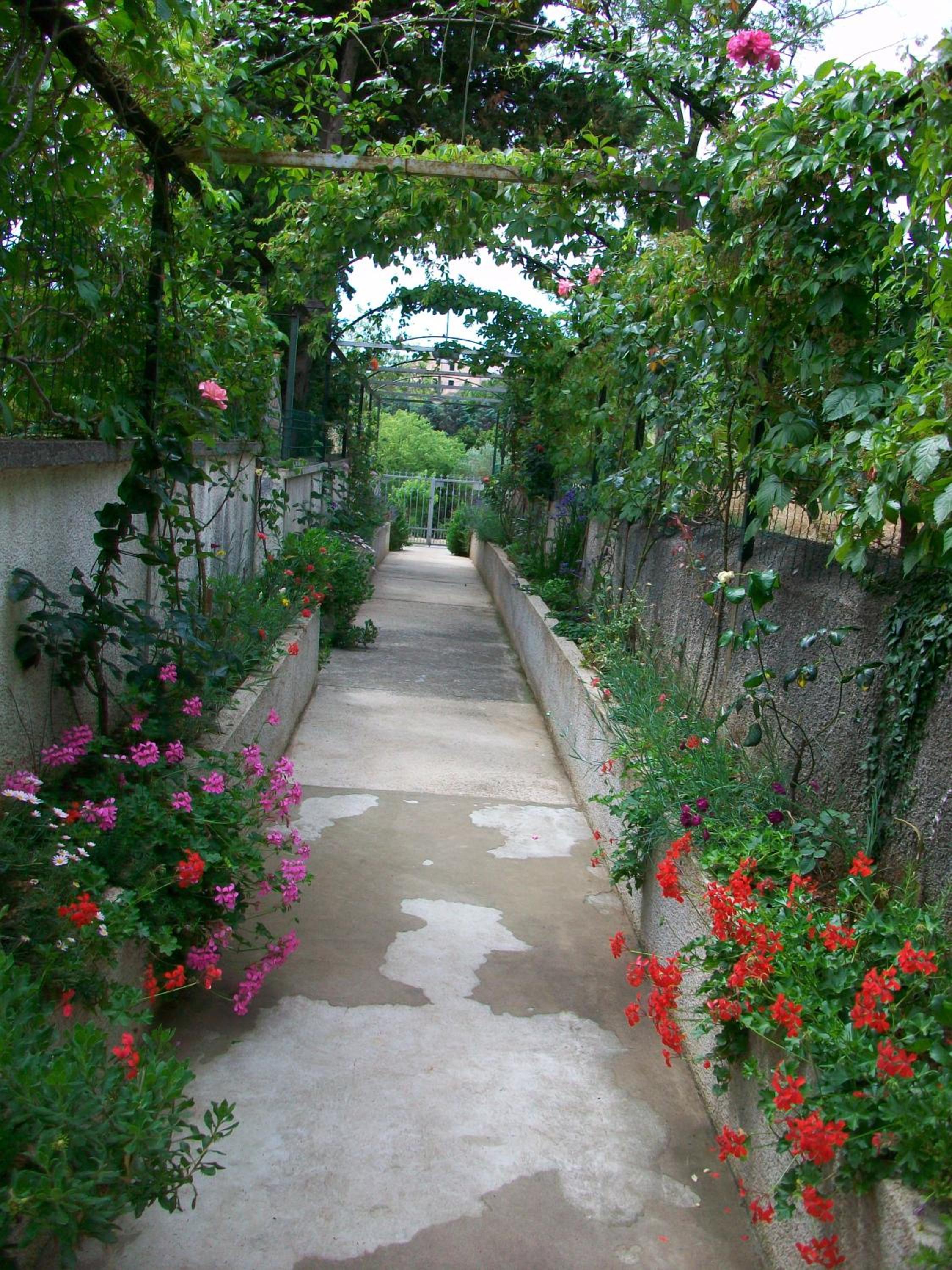Photo 18