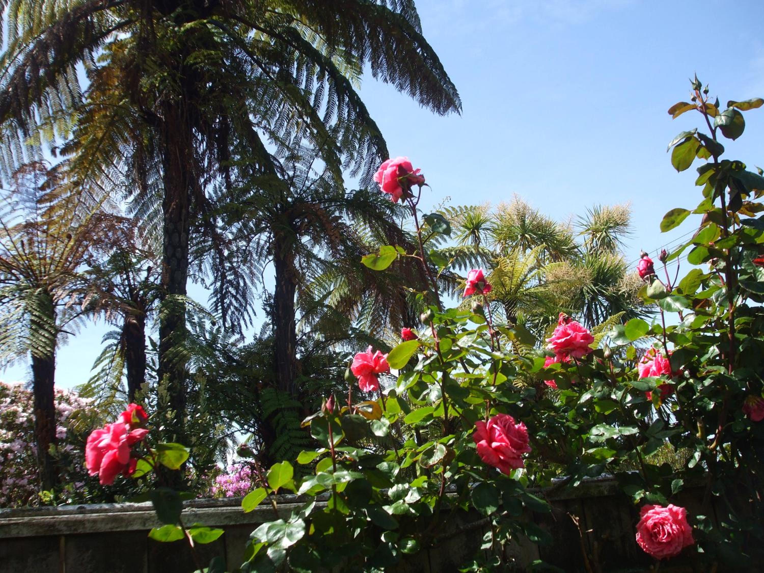 Havenlee Homestay