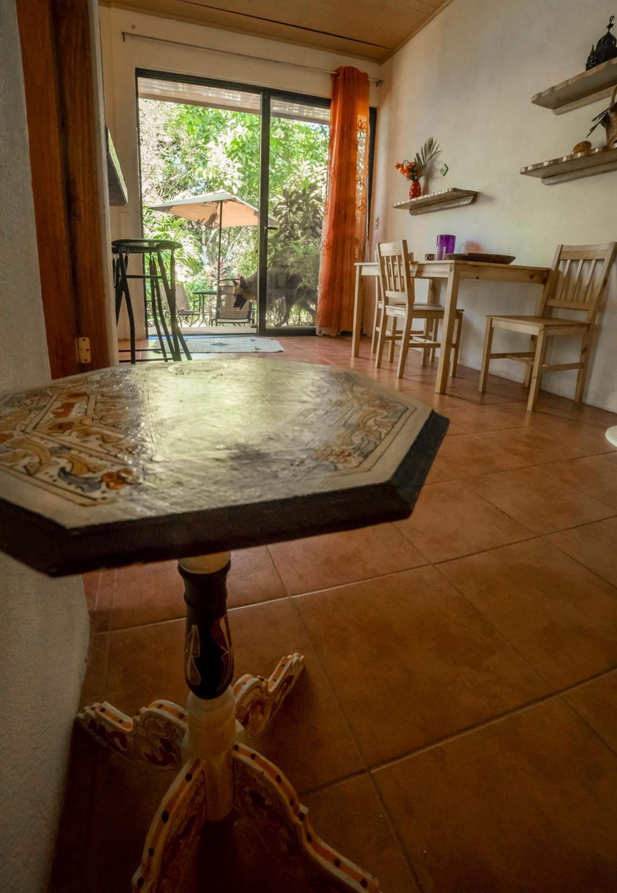 Blanconejo de Montezuma