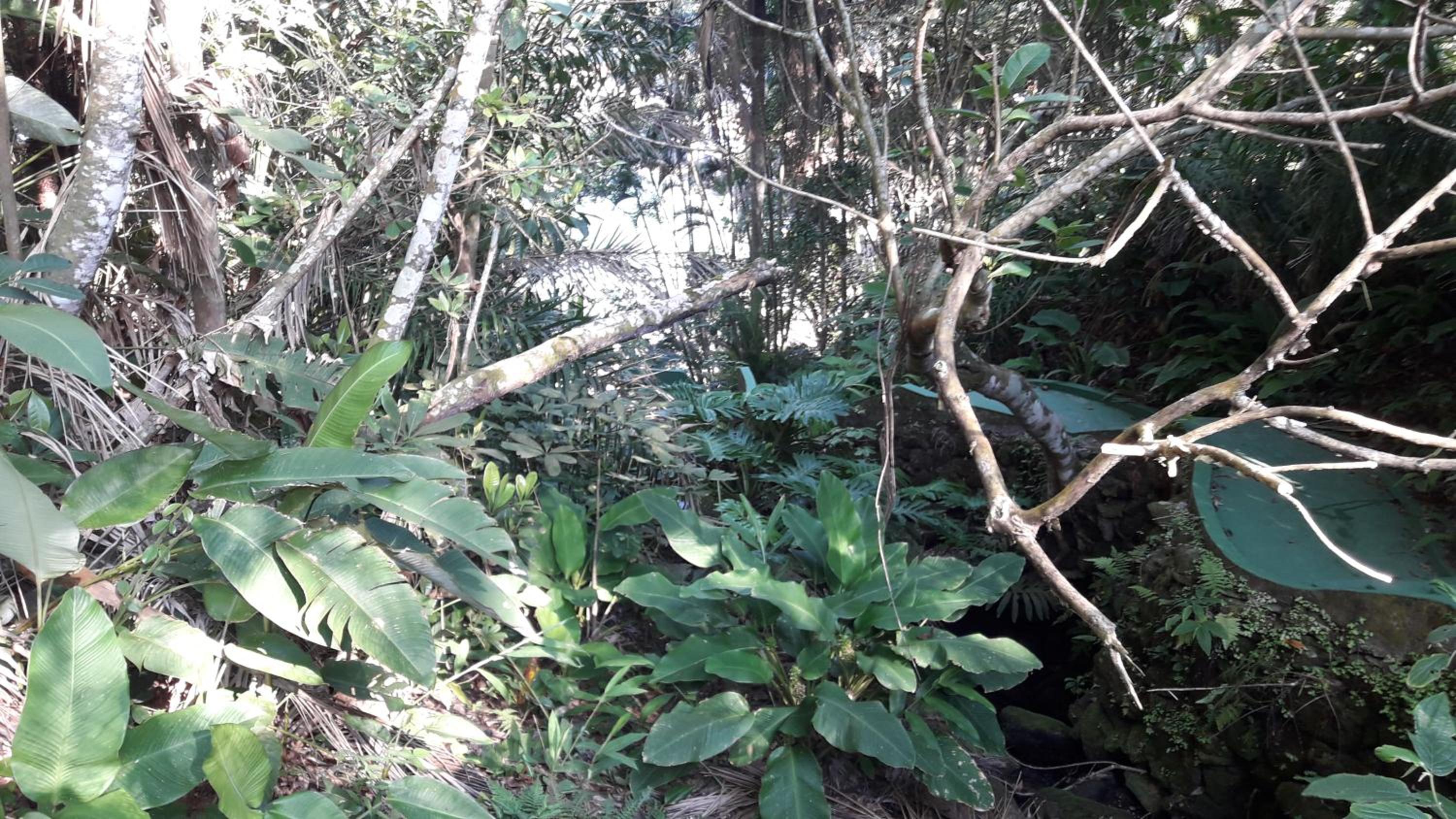 Recanto do Atlântico Enseada RM