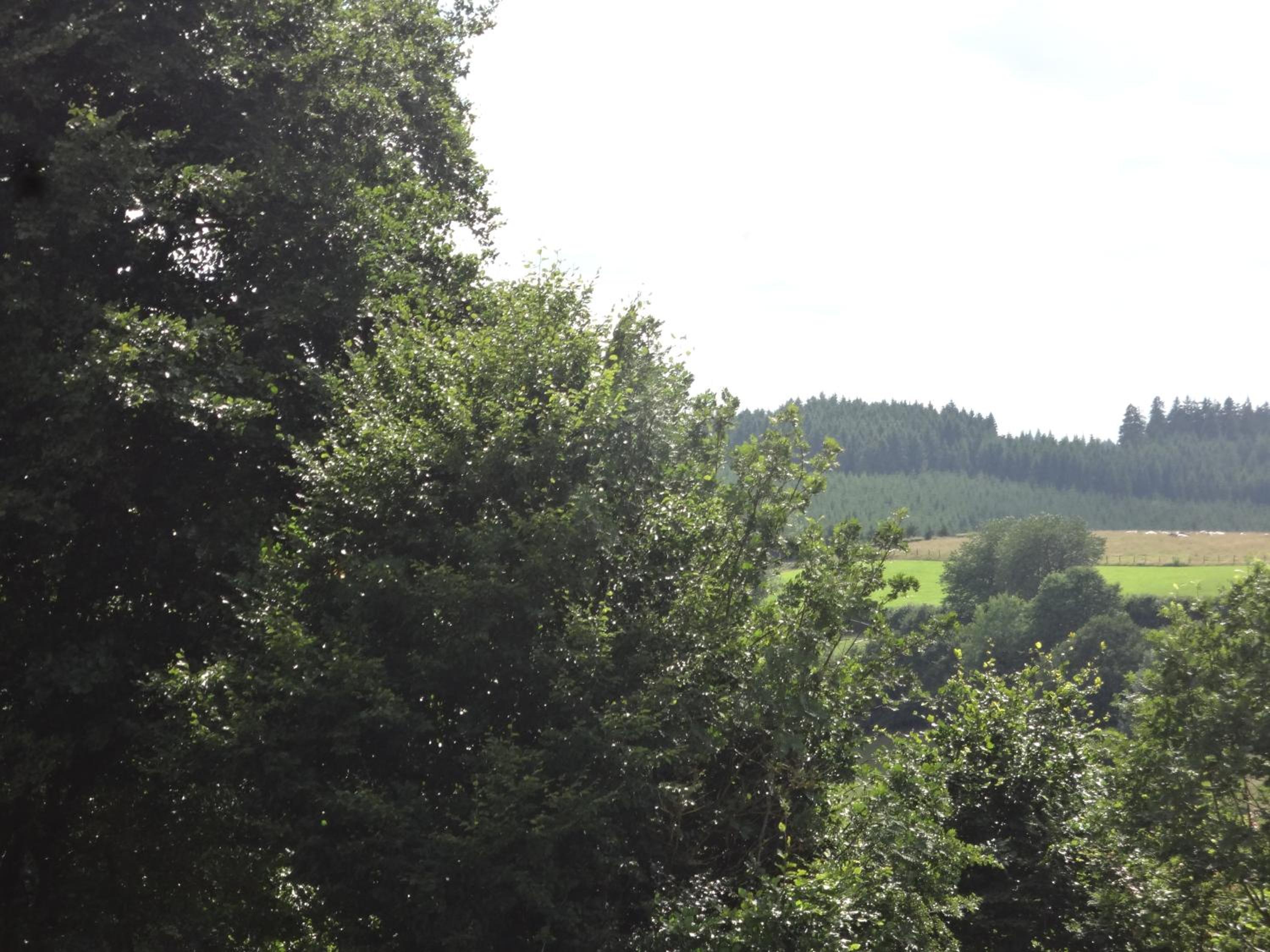 An Hütten