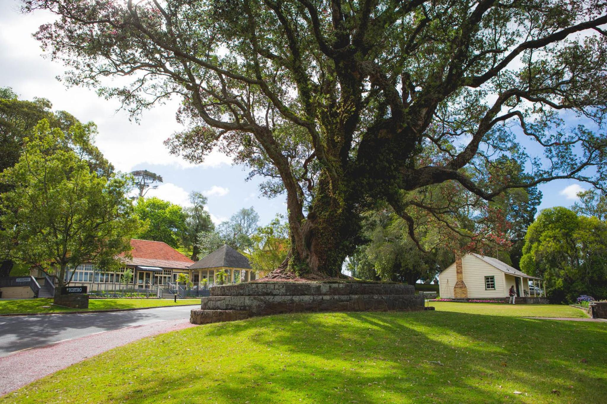 Knights Inn