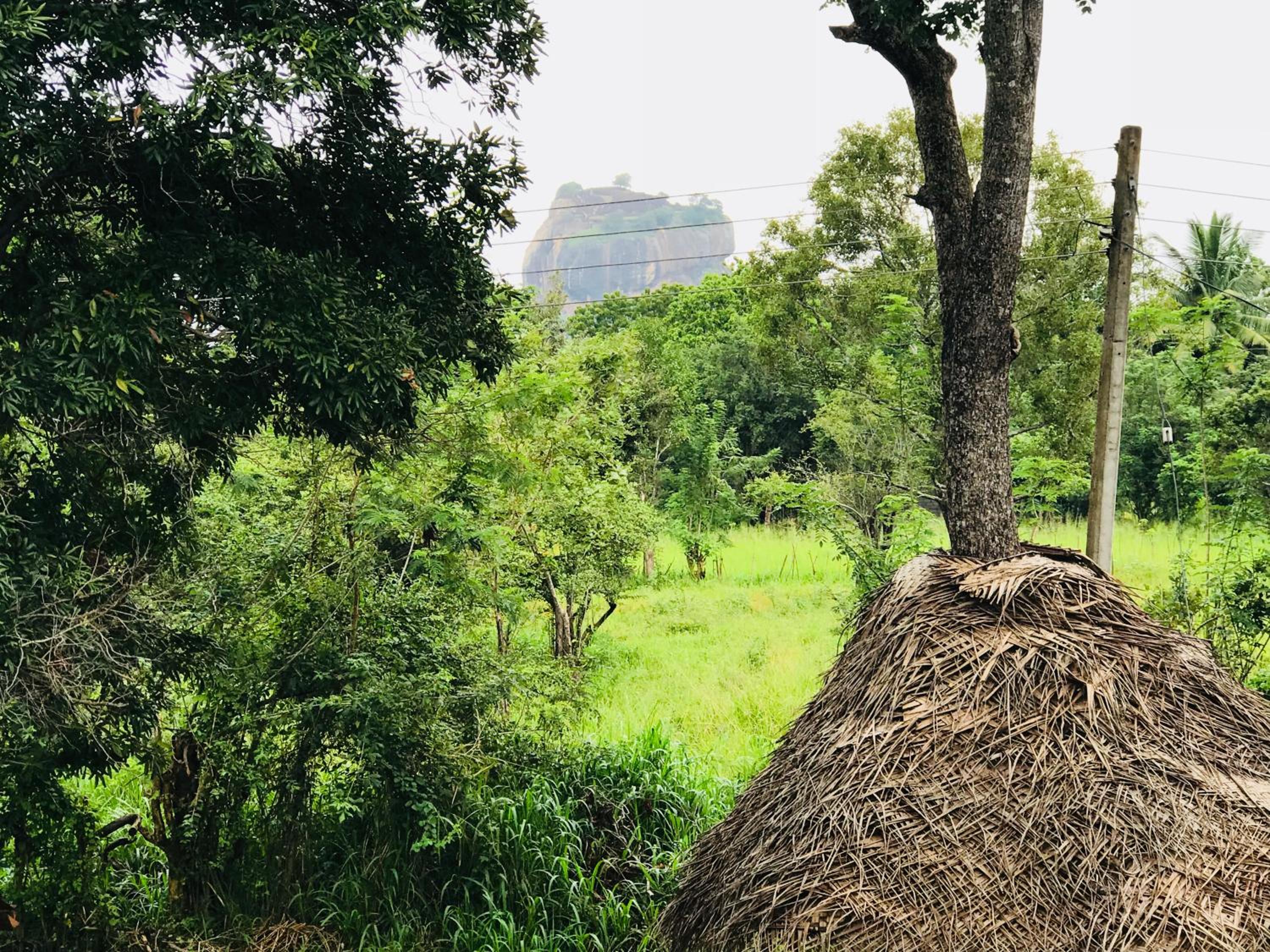 Sigiriya Rock Hide