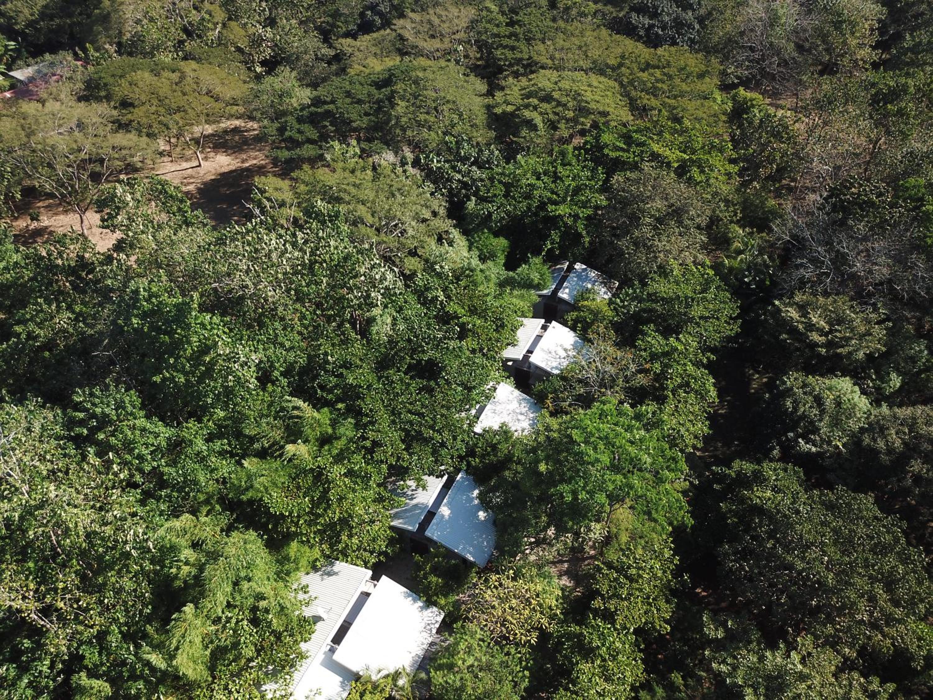 Las Avellanas Villas