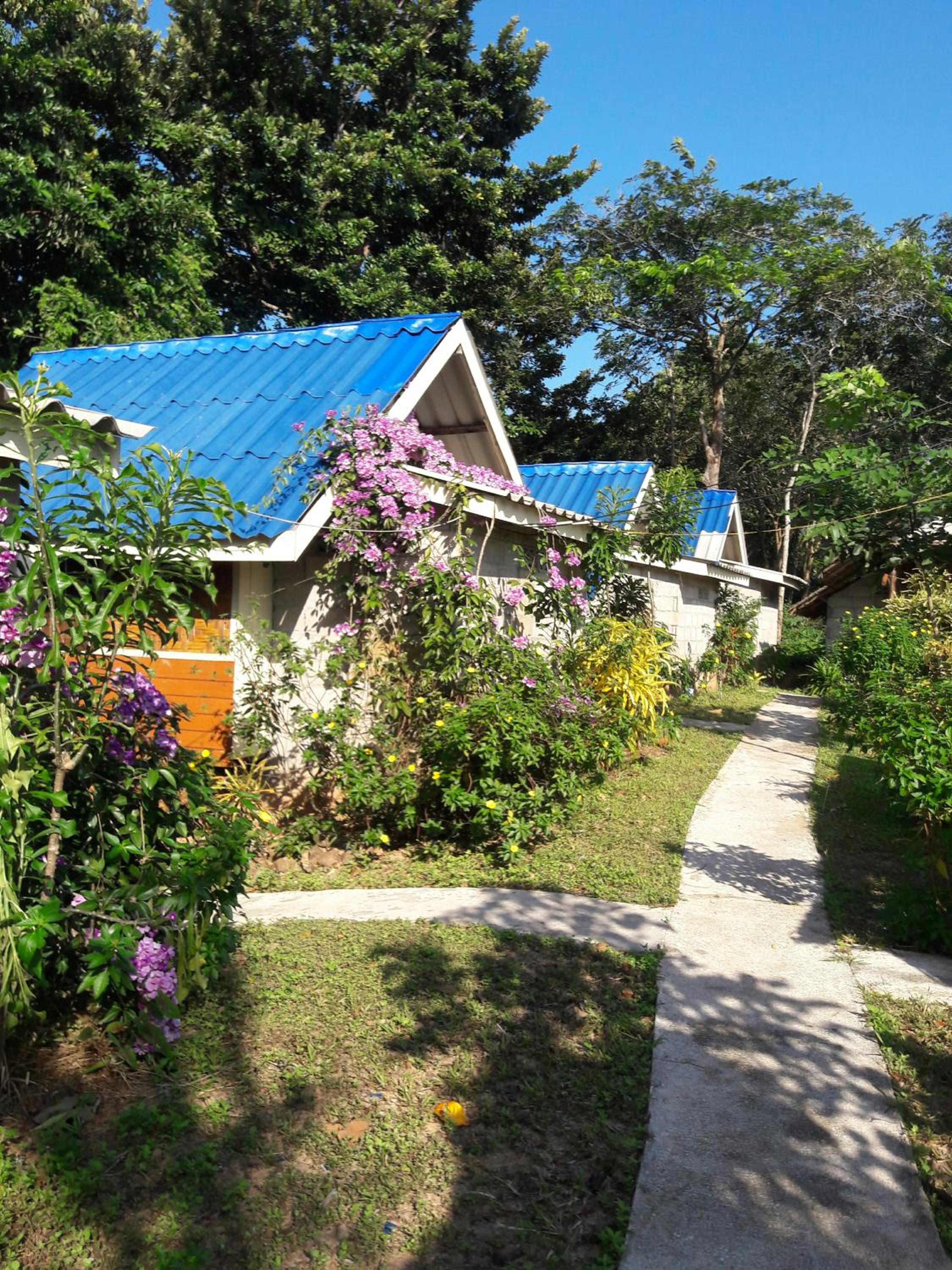 Good Morning Bungalow