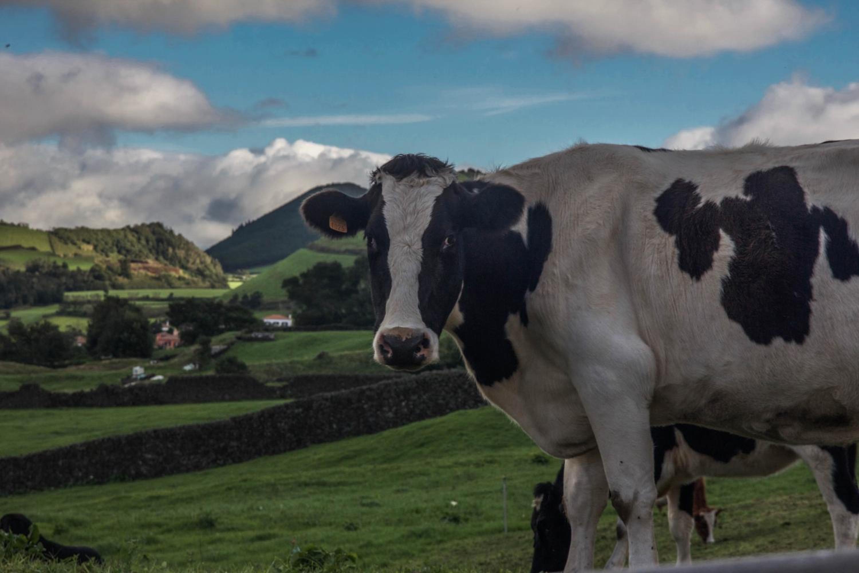 Quinta Do Norte