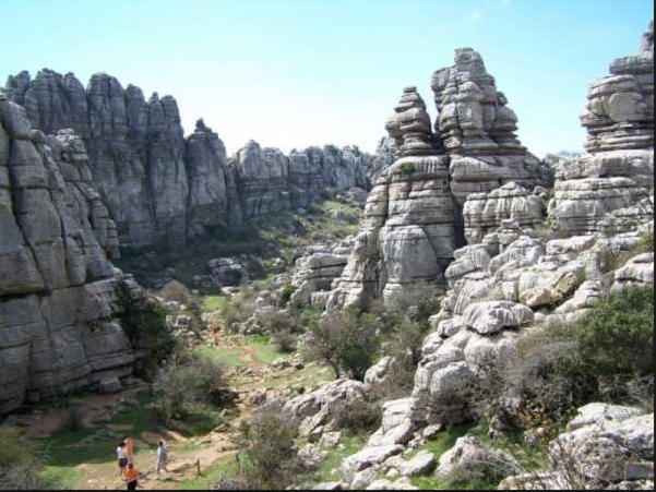 Photo 35