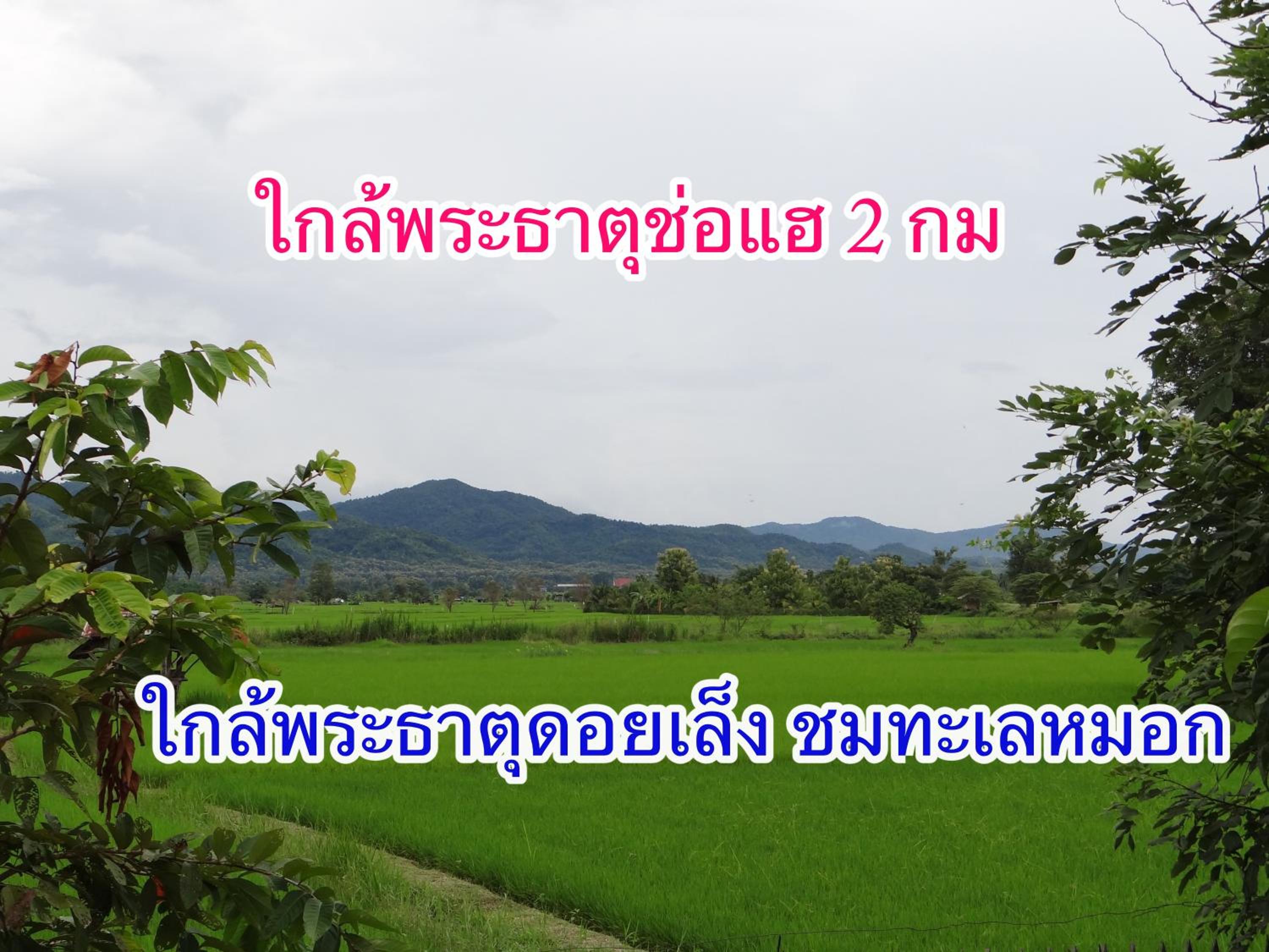 ร่มไม้สายธาร(Rommaisaitharn Resort)